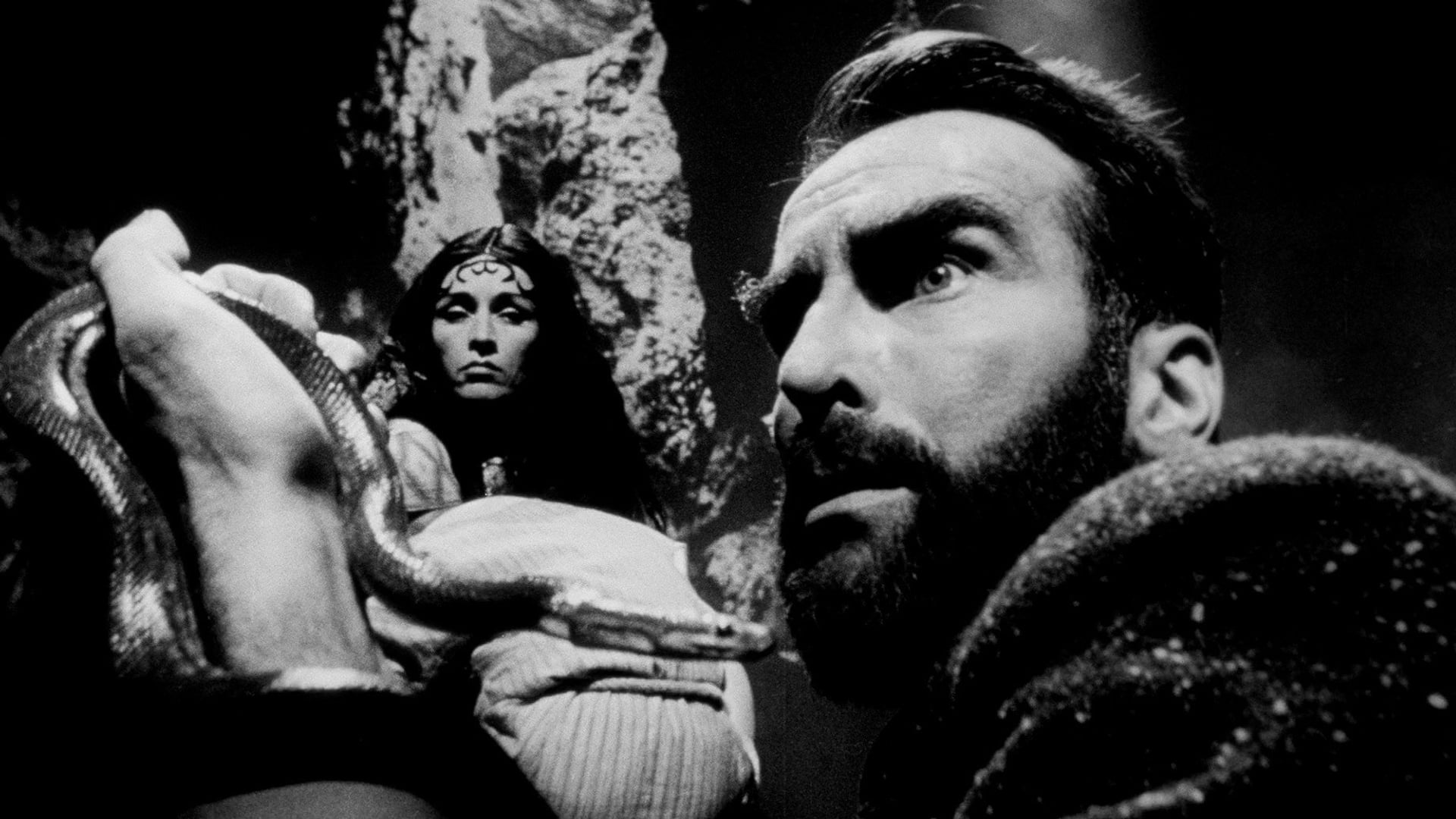Foto do filme Freud: Além da Alma