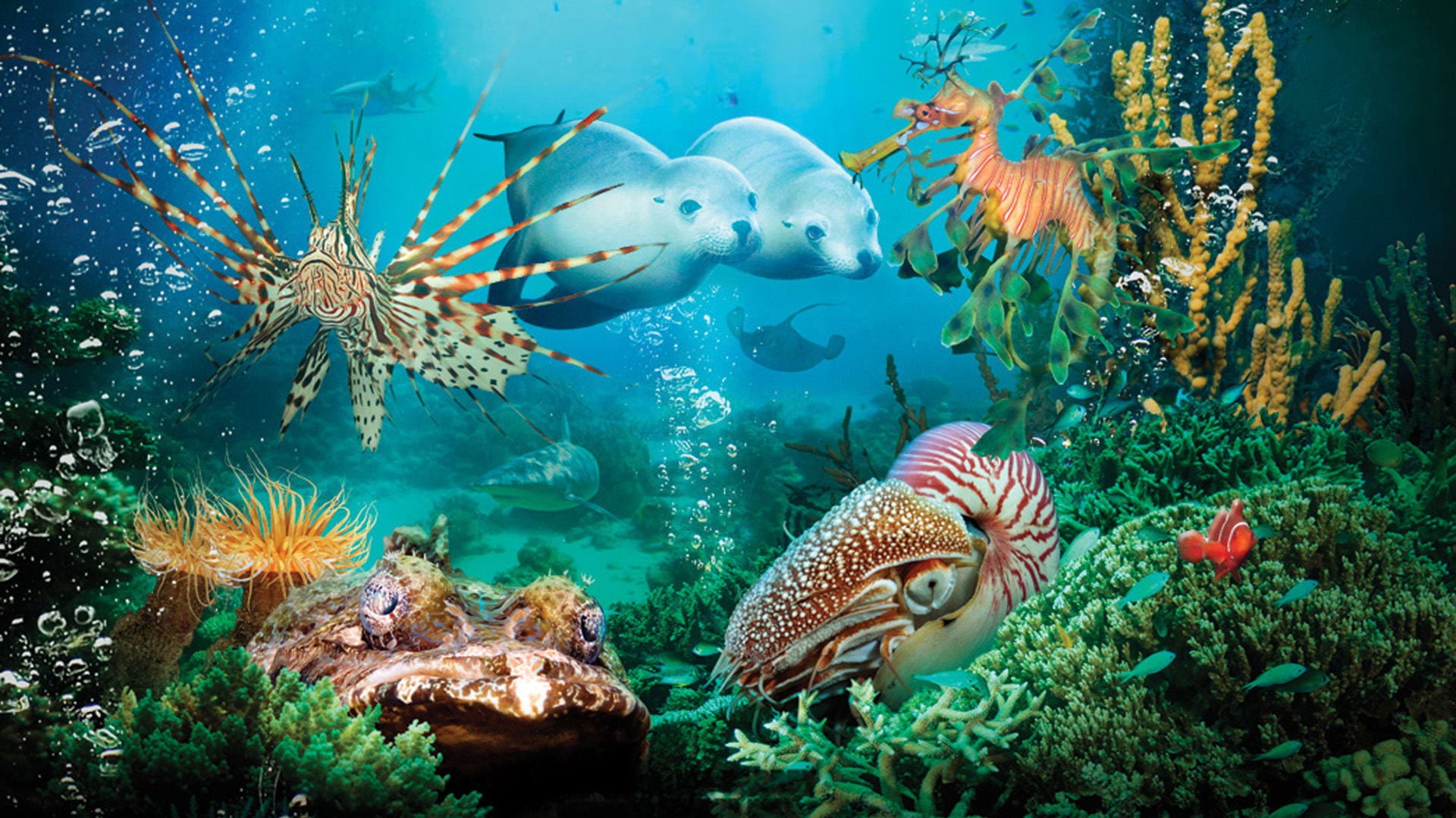 Foto do filme Um Mar de Aventuras