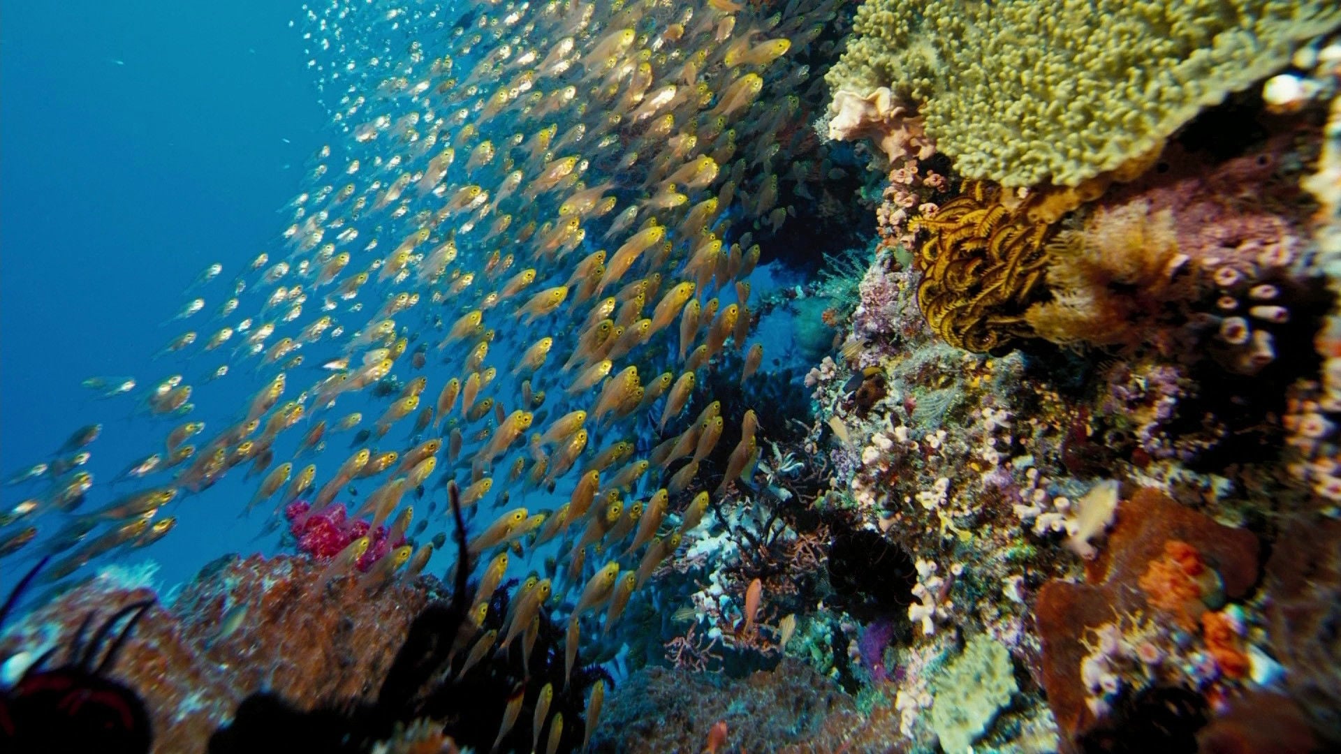 Foto do filme Um Mar de Aventuras