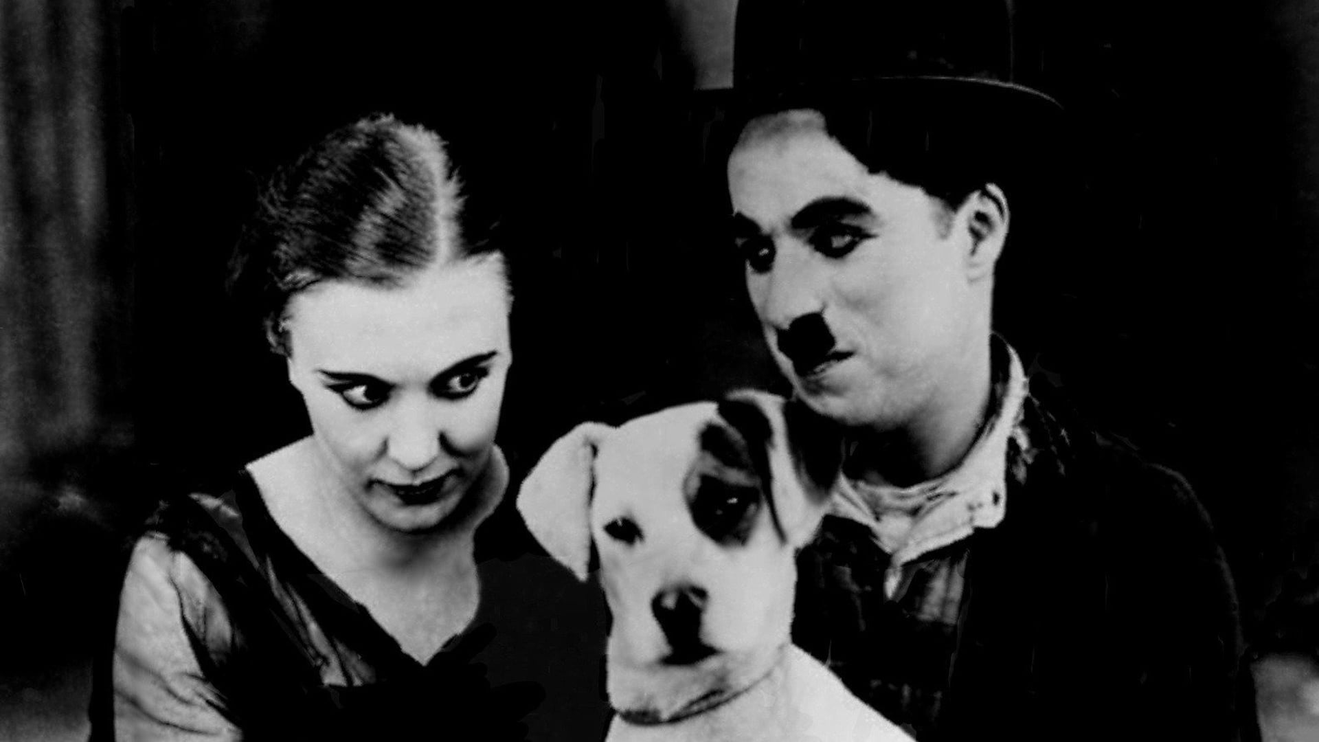 Foto do filme Vida de Cachorro