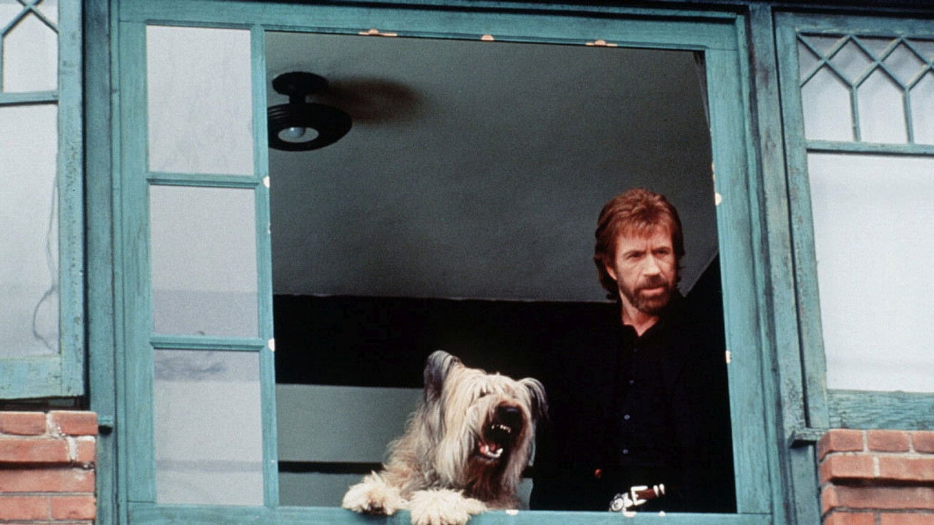 Foto do filme Top Dog - Uma Dupla Animal