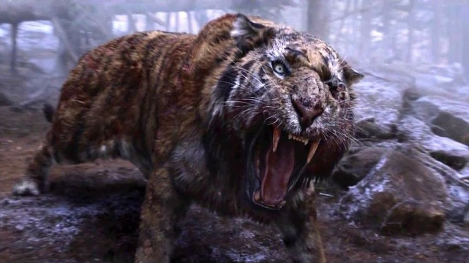 Foto do filme O Tigre
