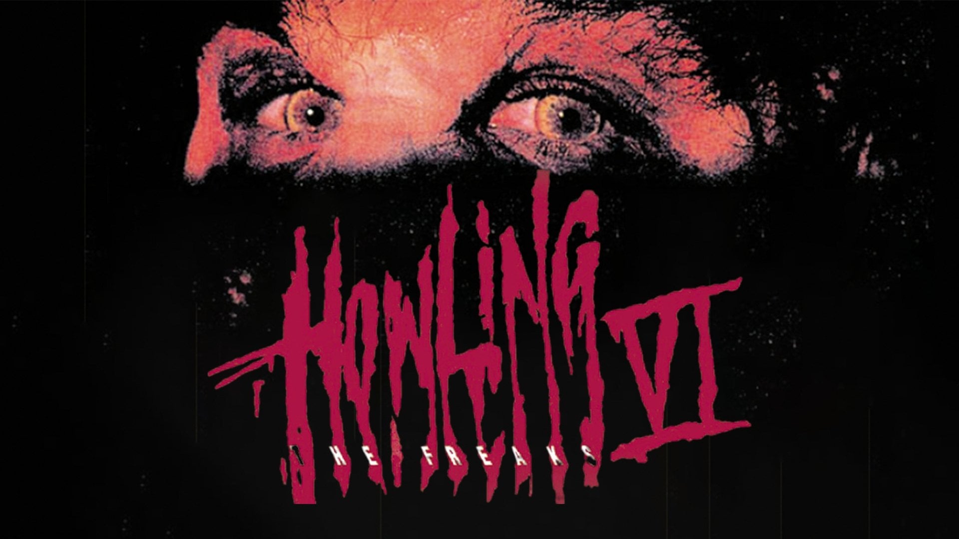Foto do filme Grito de Horror 6