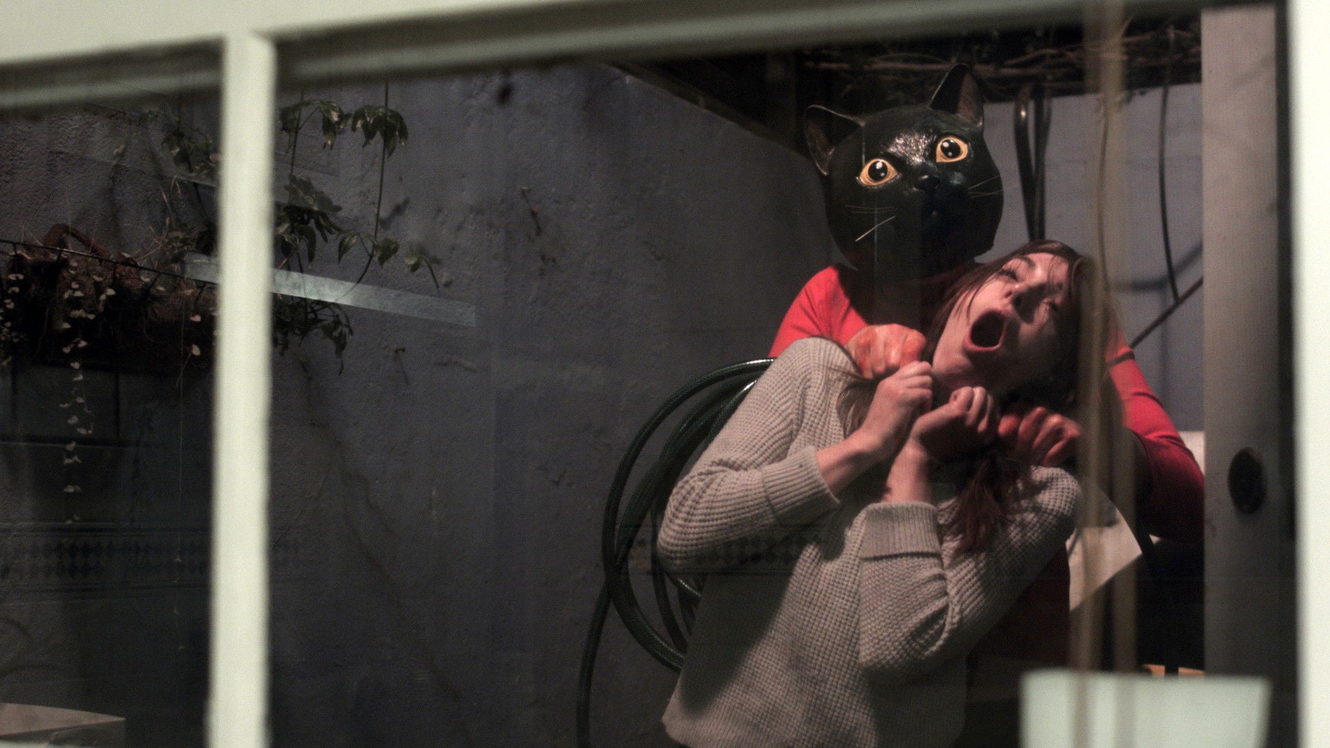 Foto do filme Cat Sick Blues