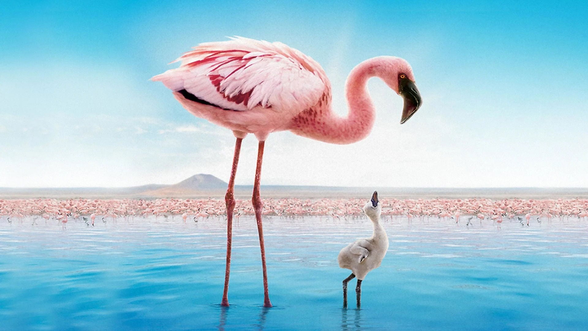 Foto do filme Grande Balé Vermelho: O Mistério dos Flamingos