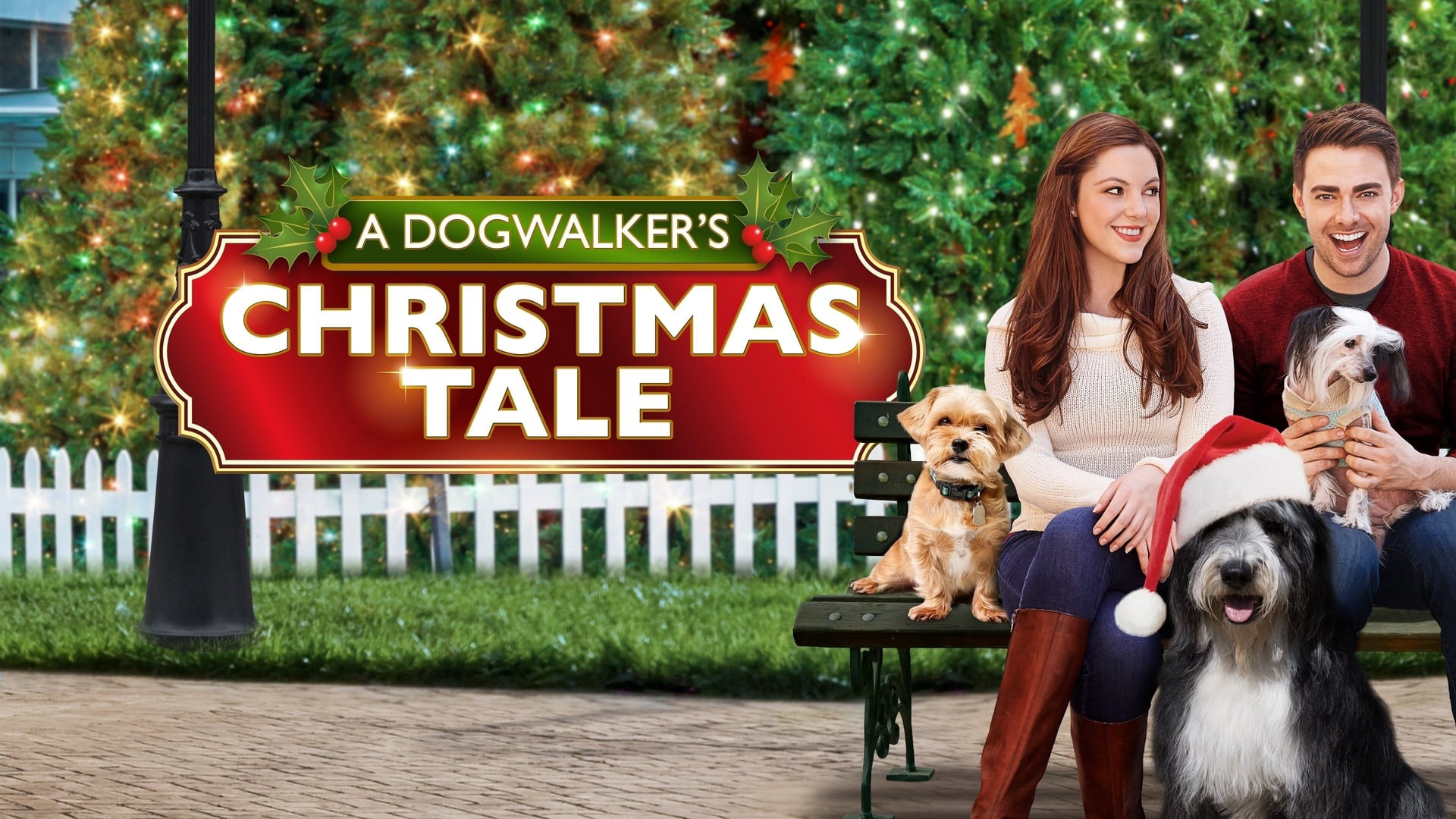 Foto do filme Um Natal Animal