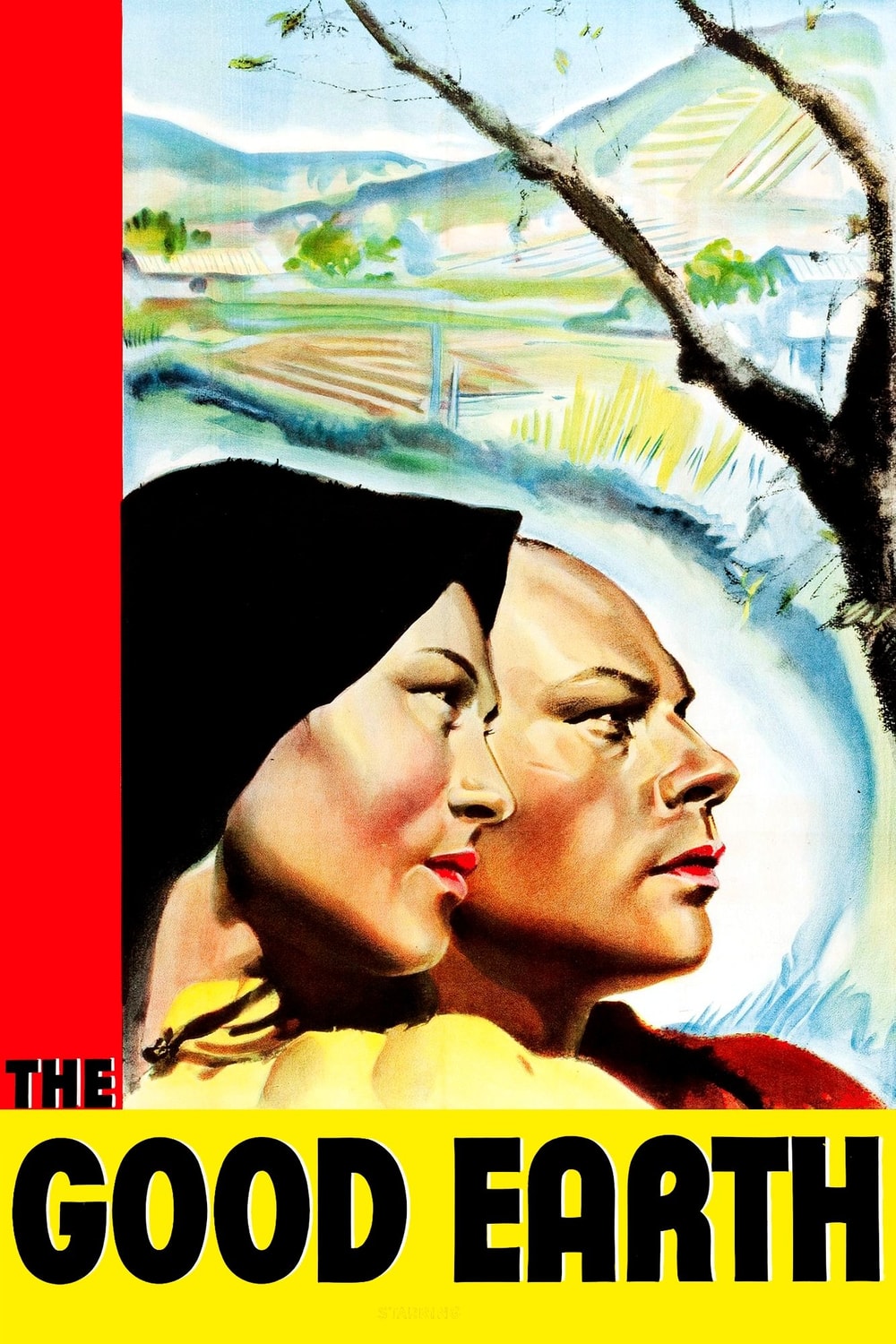 Terra dos Deuses