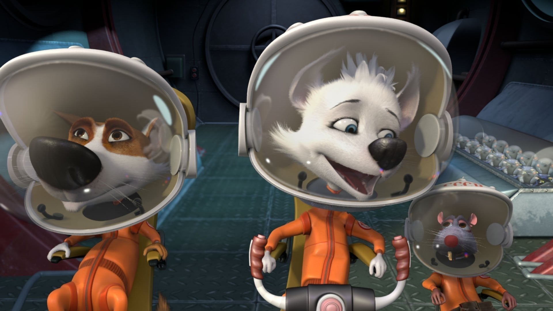 Foto do filme Cãestronautas