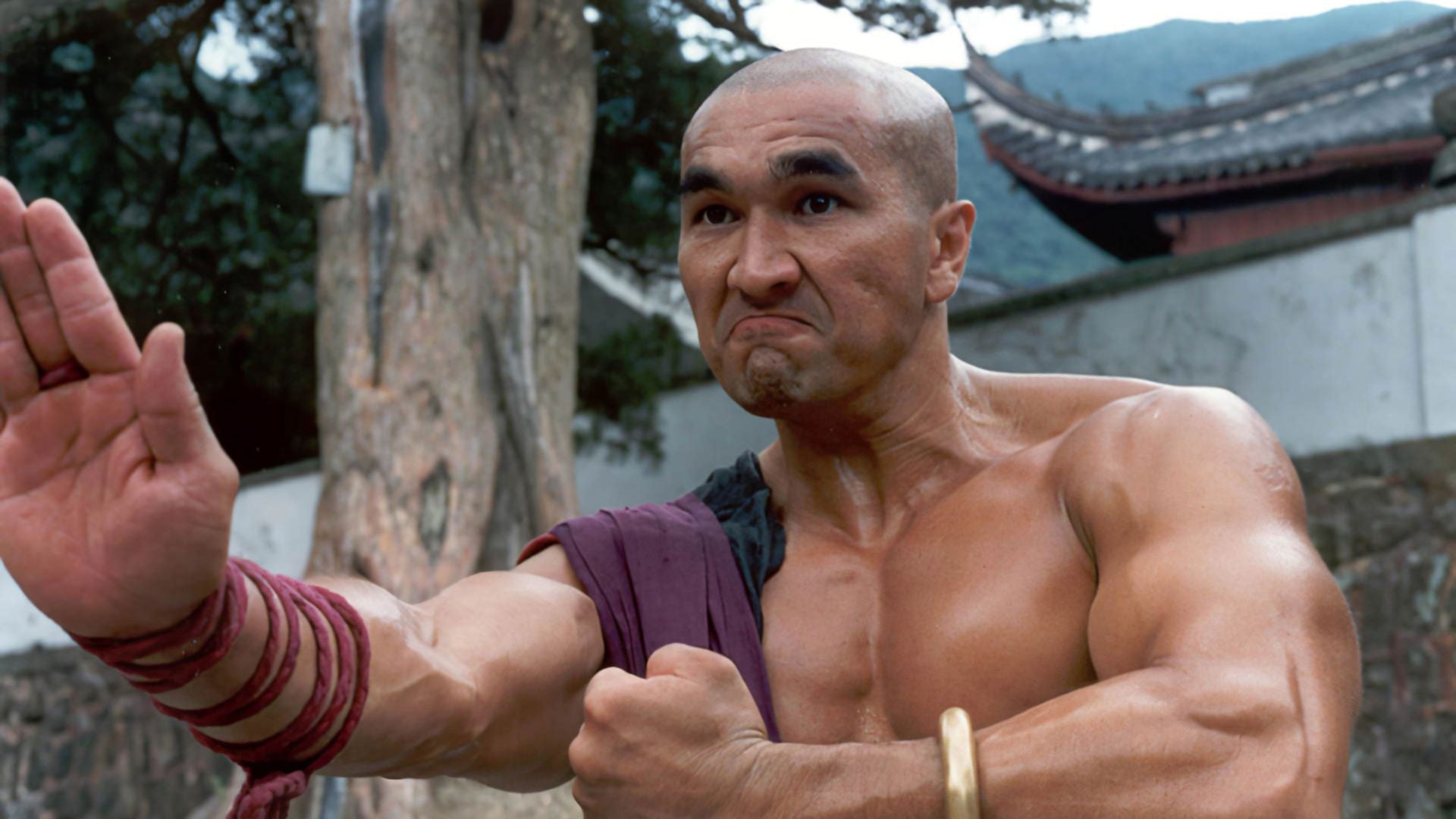 Foto do filme American Shaolin: Uma Nova Raça de Kickboxer