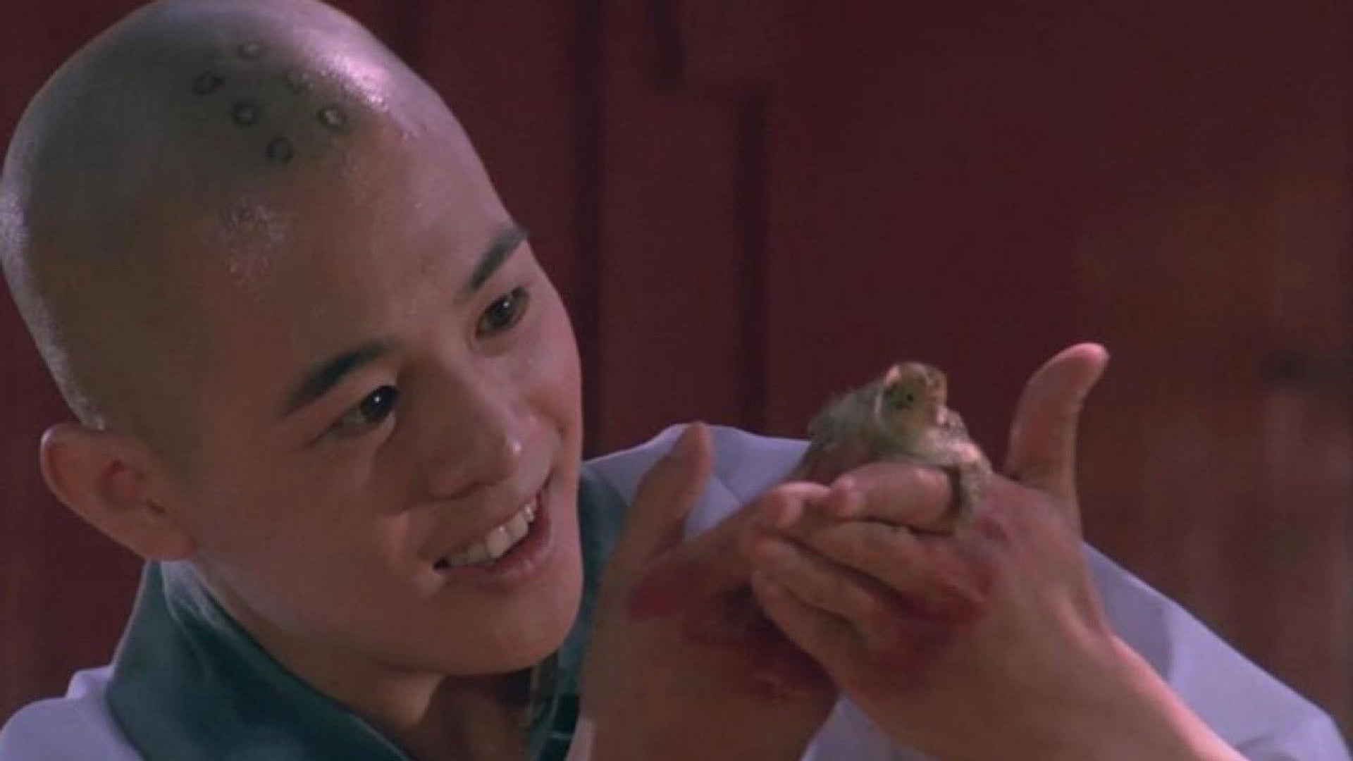Foto do filme O Templo de Shaolin 3: As Artes Marciais de Shaolin