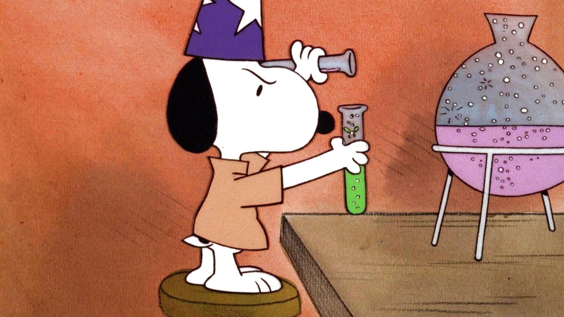 Foto do filme É Mágica, Charlie Brown