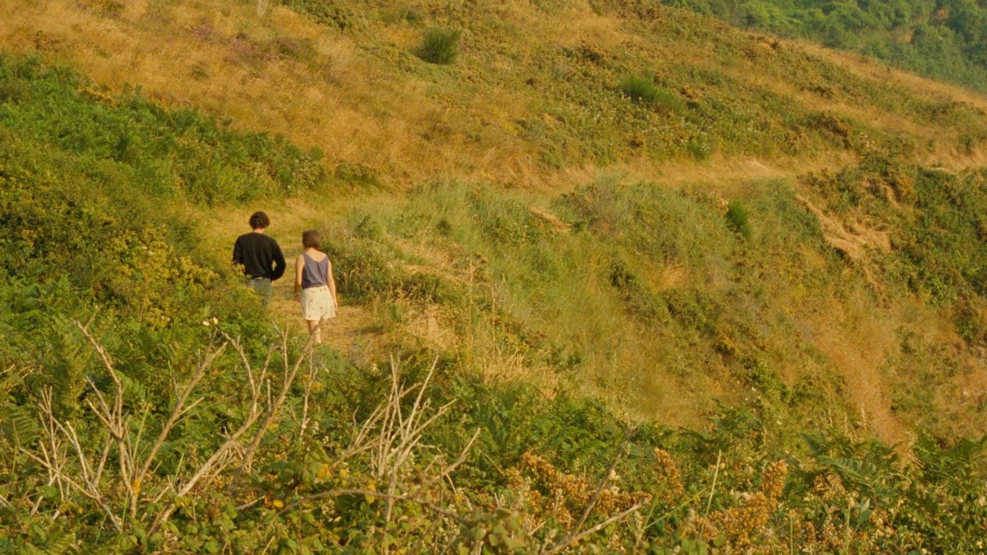 Foto do filme Conto de Verão