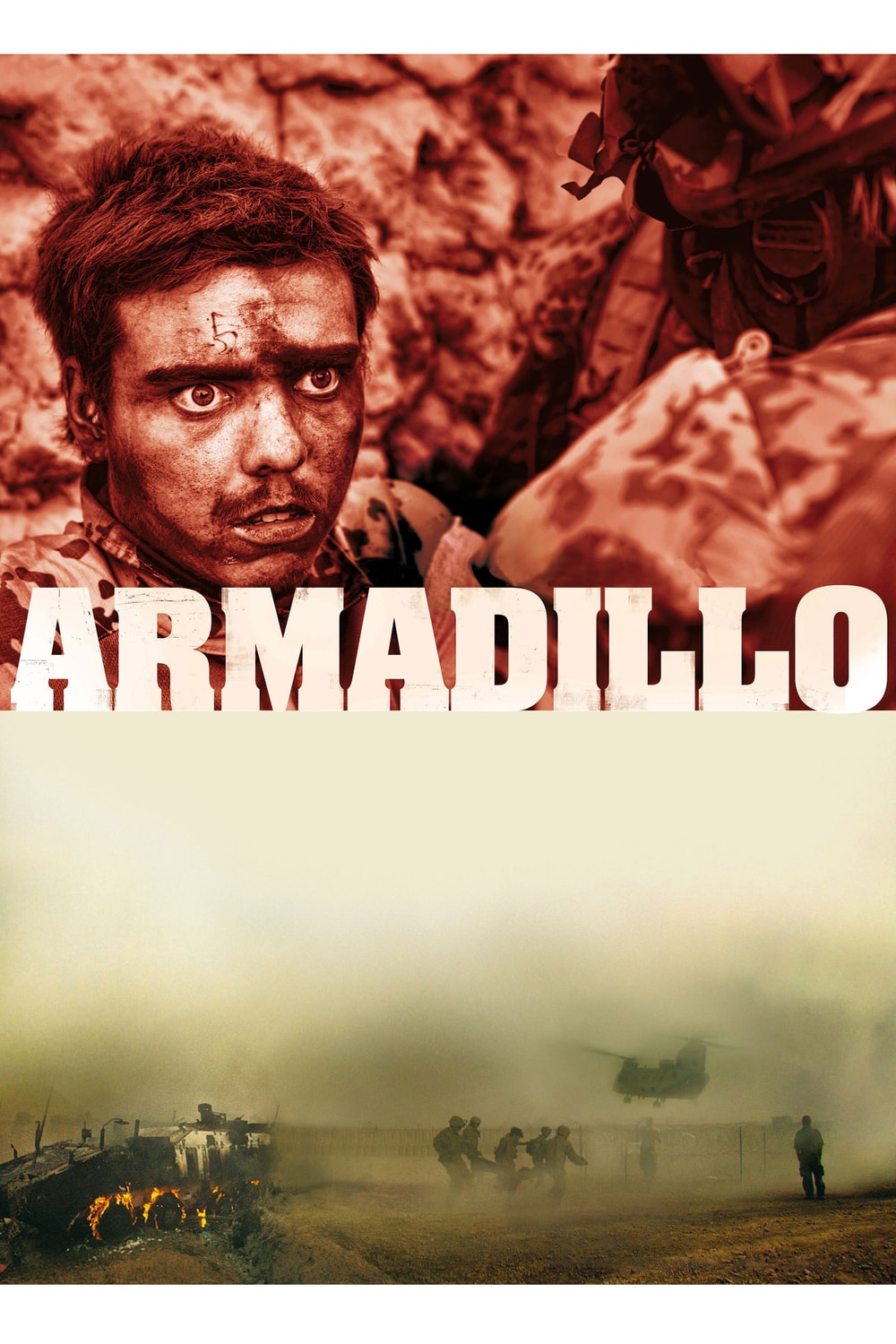 Armadillo