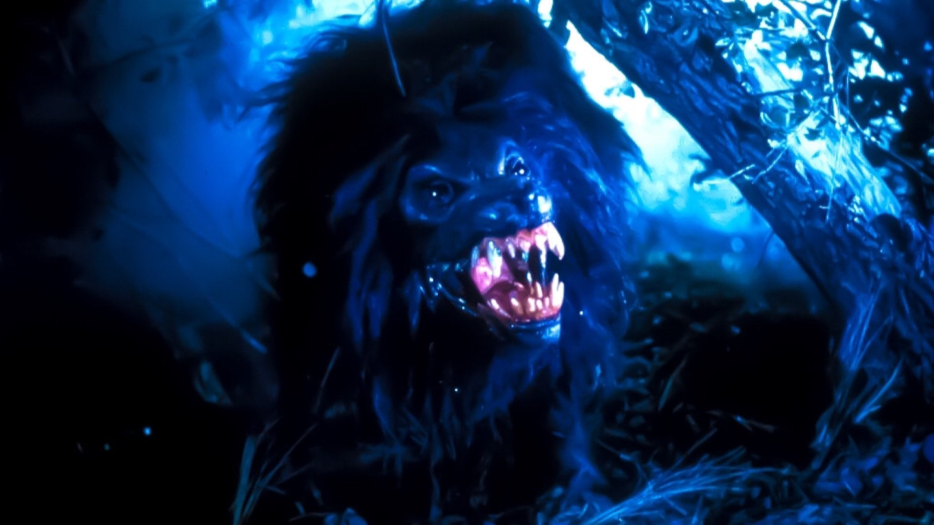 Foto do filme Grito de Horror 4: Um Arrepio na Noite