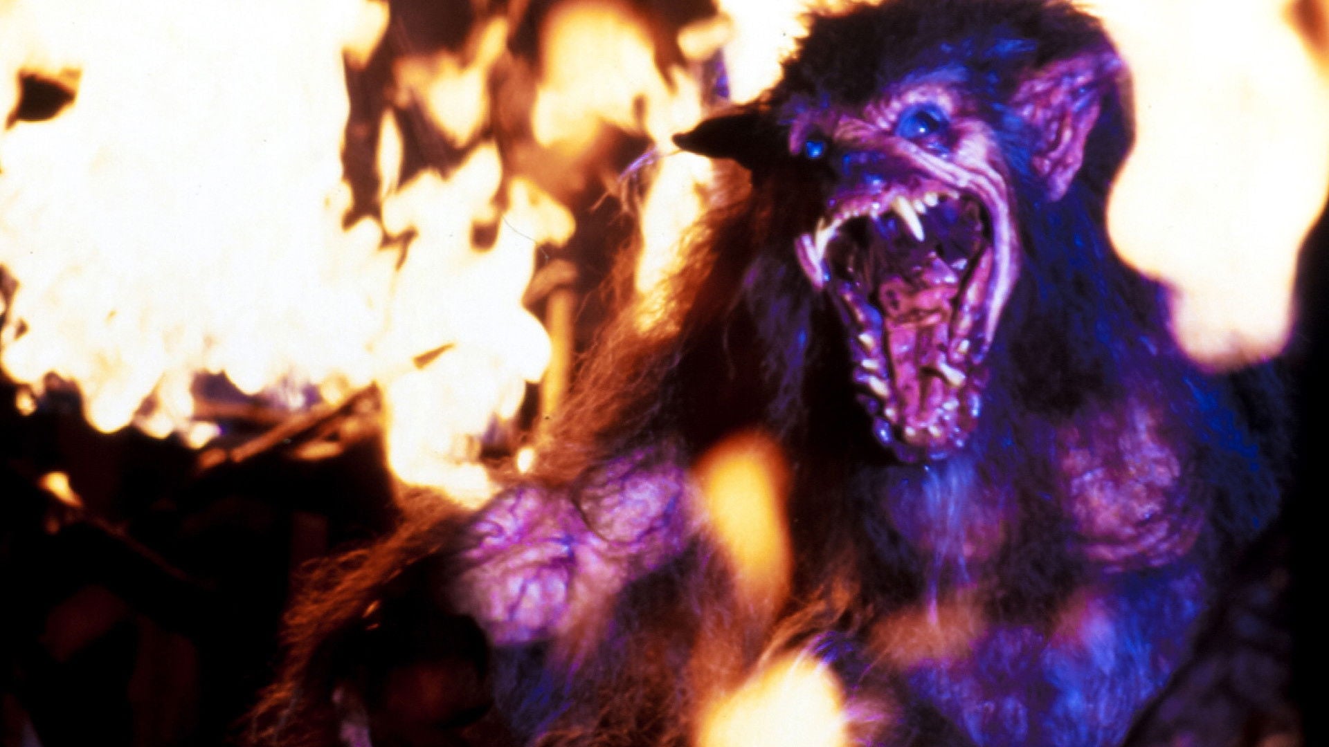 Foto do filme Grito de Horror 4: Um Arrepio na Noite