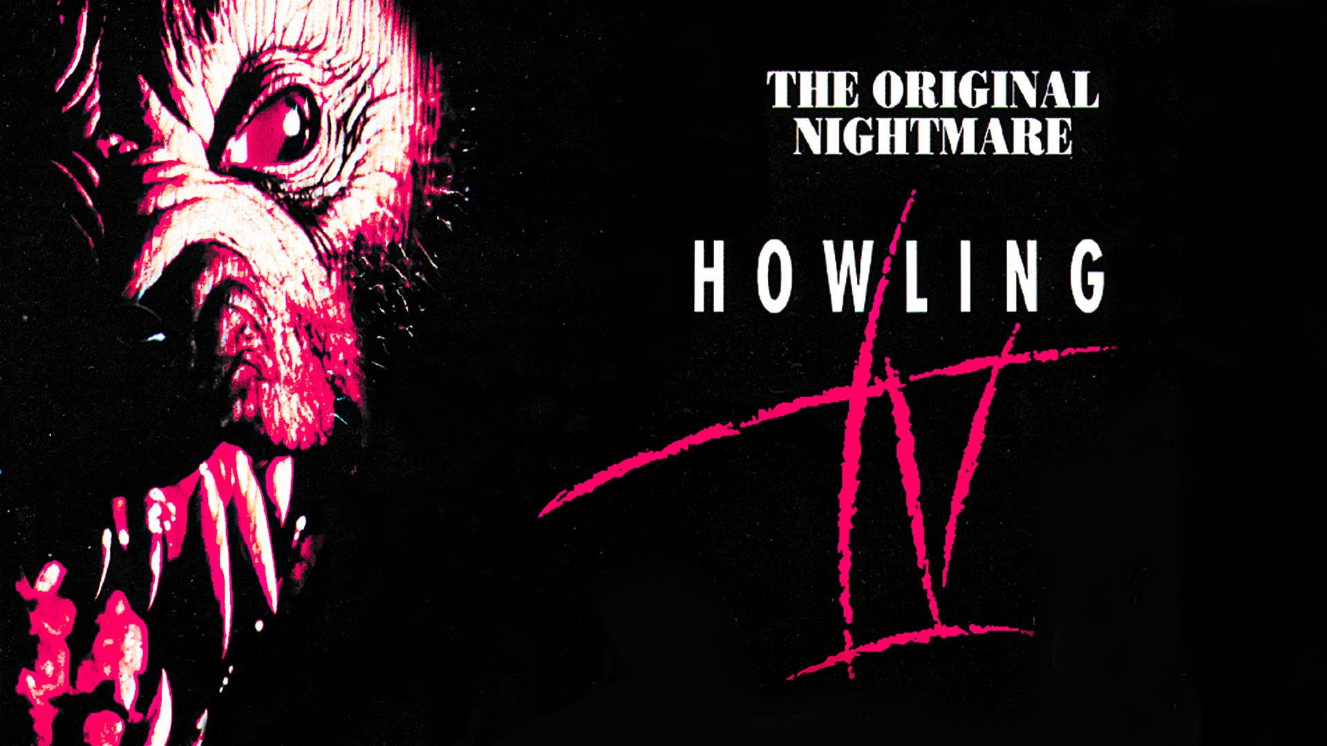 Foto do filme Grito de Horror 4: Um Arrepio na Noite