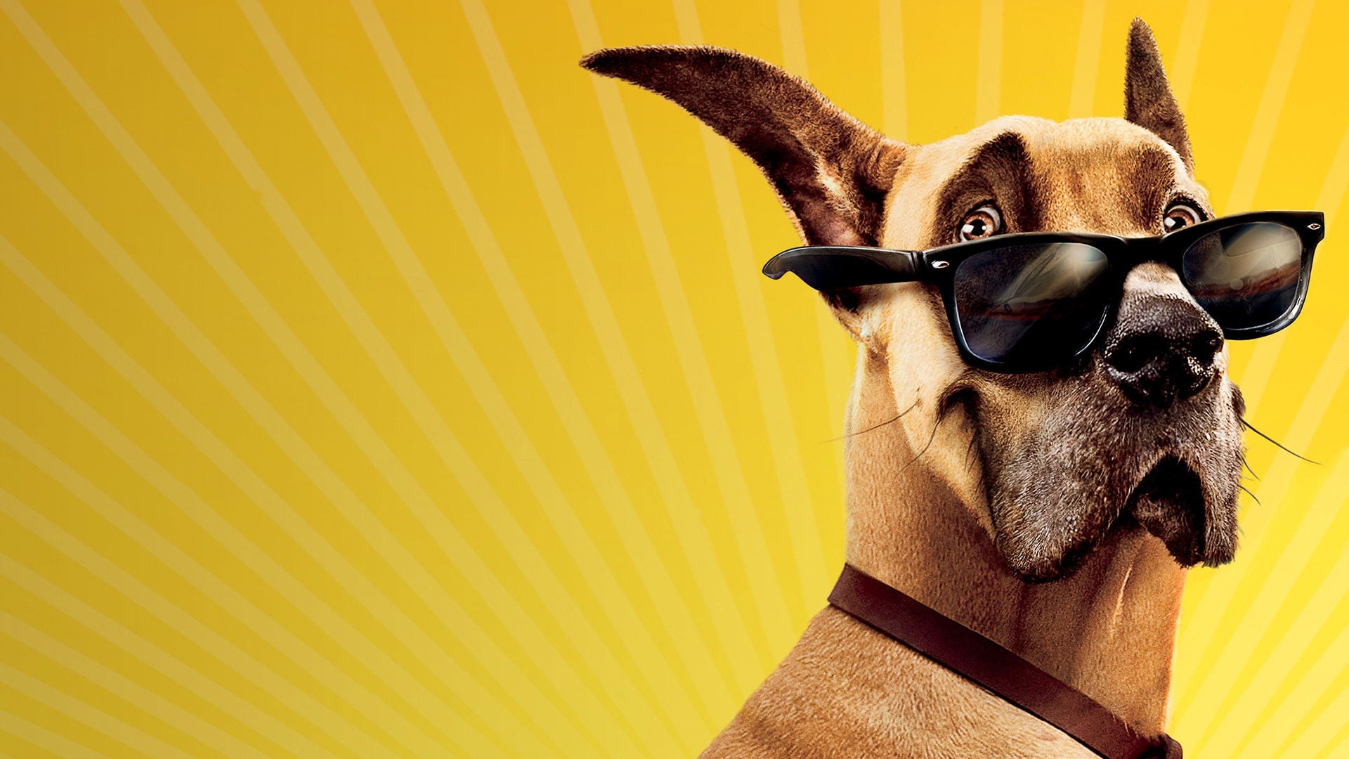 Foto do filme Marmaduke