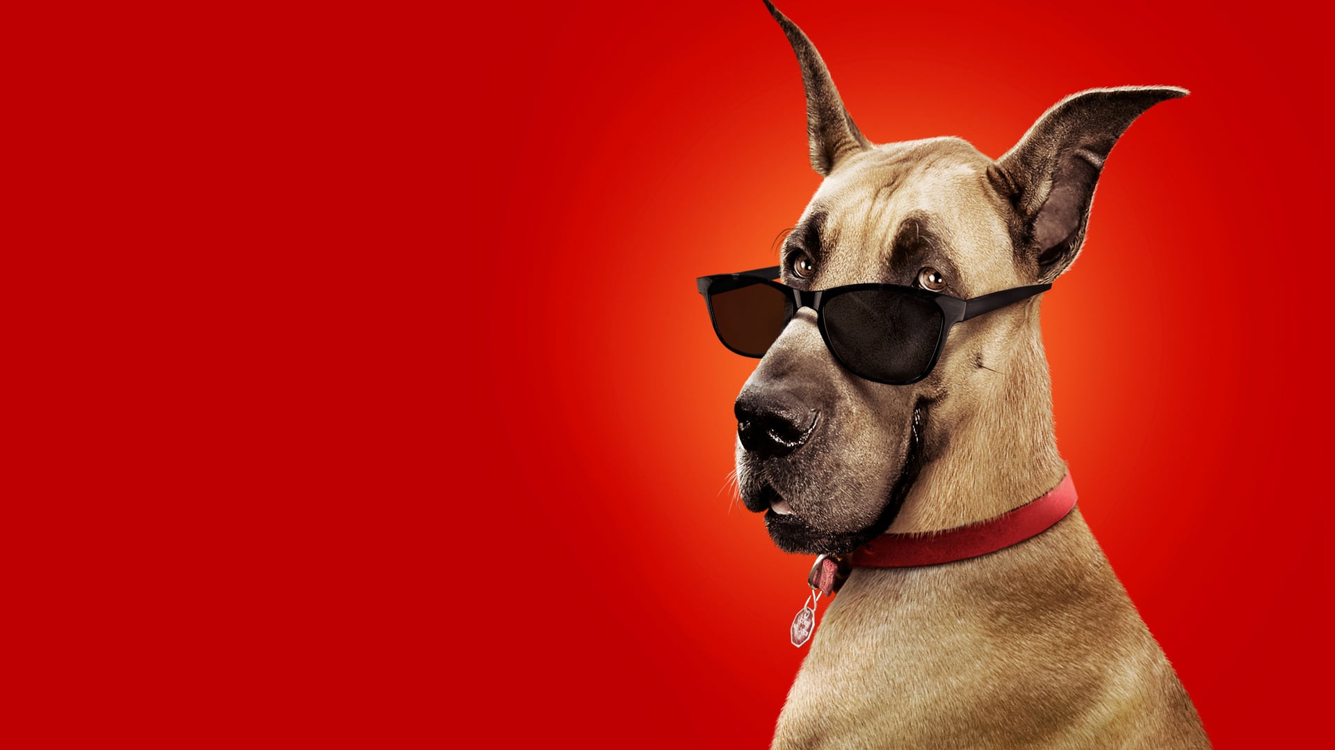 Foto do filme Marmaduke