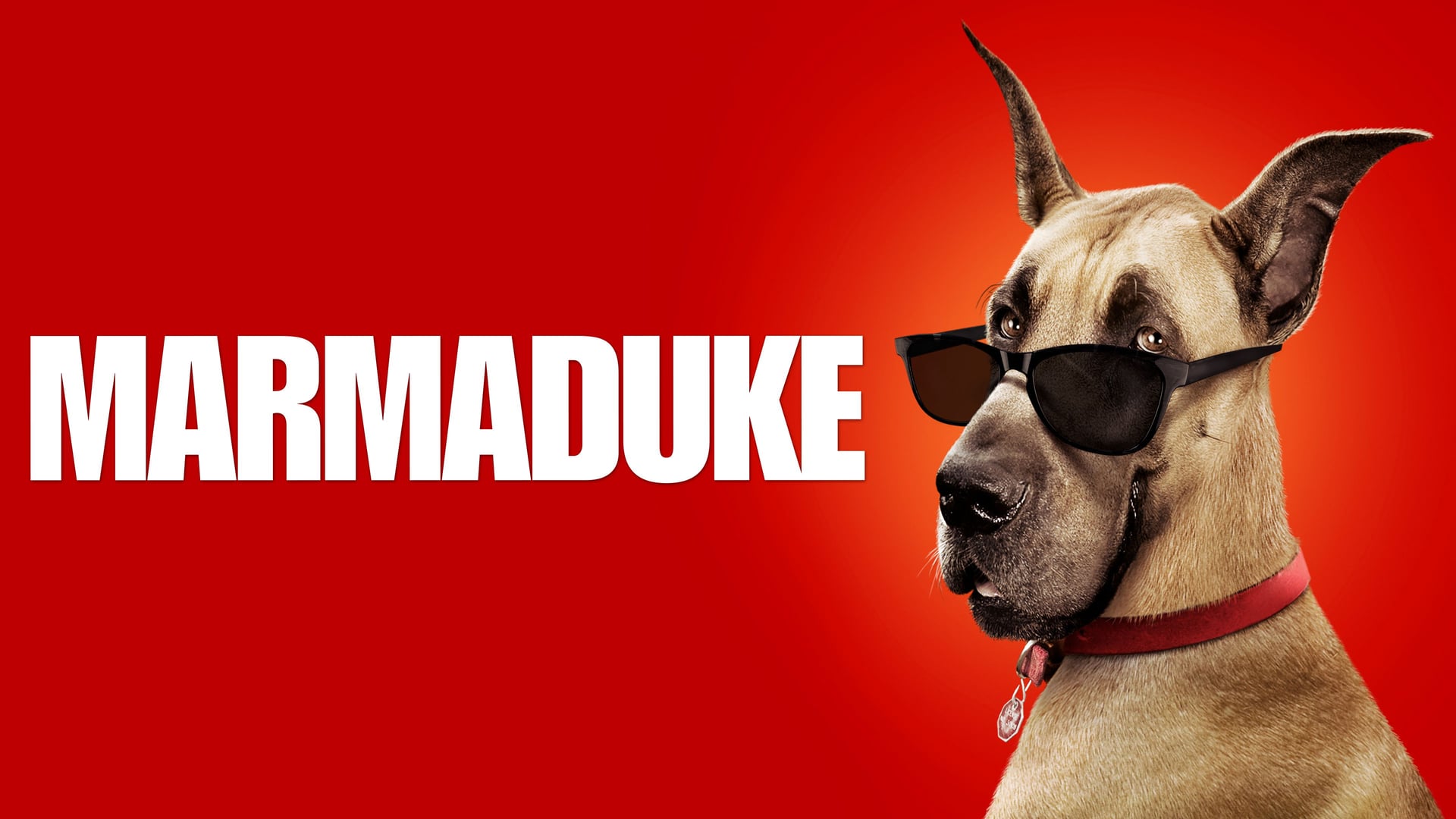 Foto do filme Marmaduke
