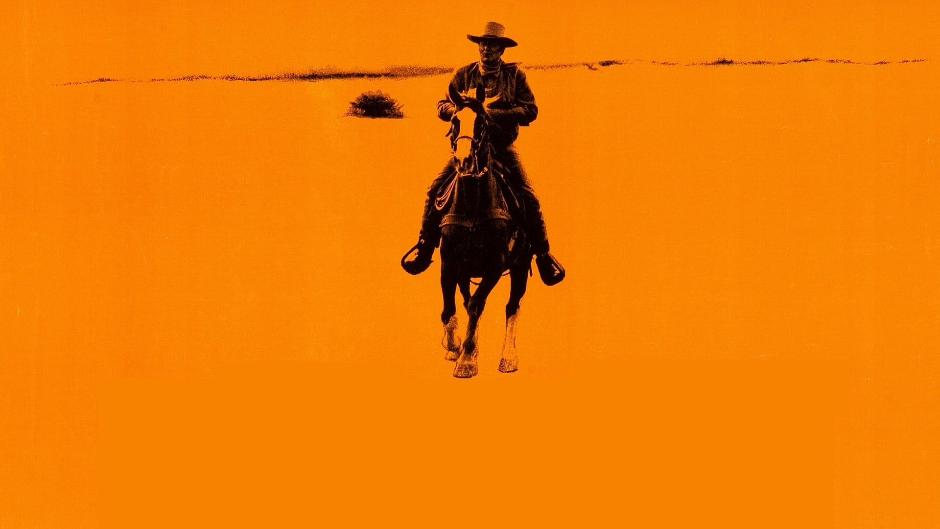 Foto do filme Chisum