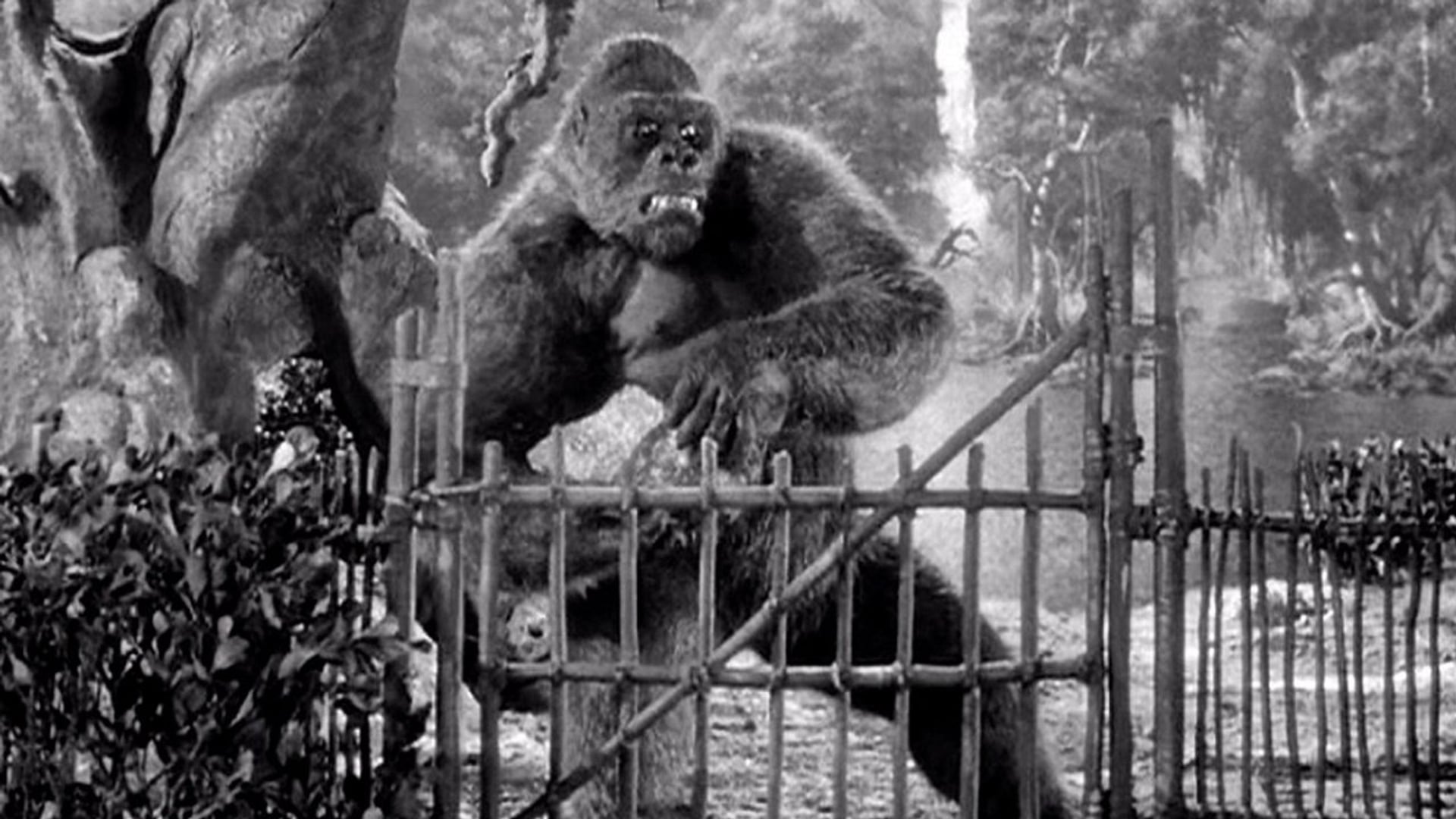 Foto do filme Monstro de um Mundo Perdido