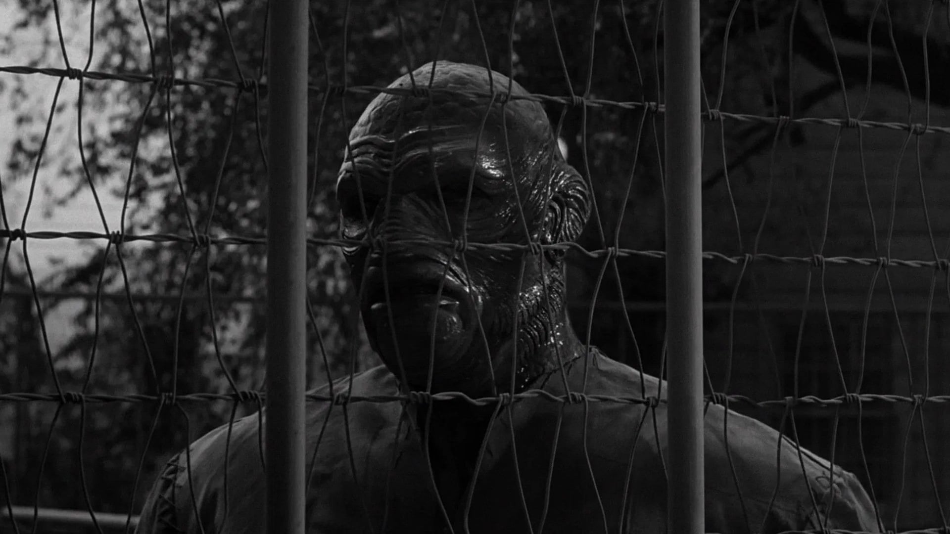 Foto do filme À Caça do Monstro