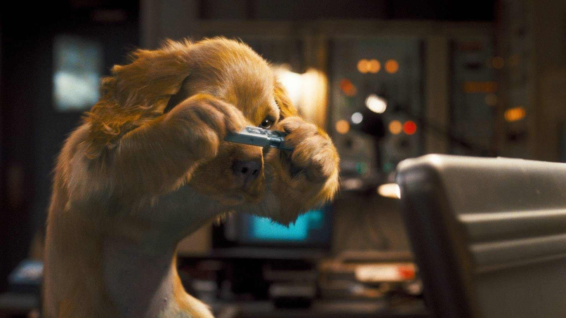 Foto do filme Como Cães e Gatos 2: A Vingança de Kitty Galore