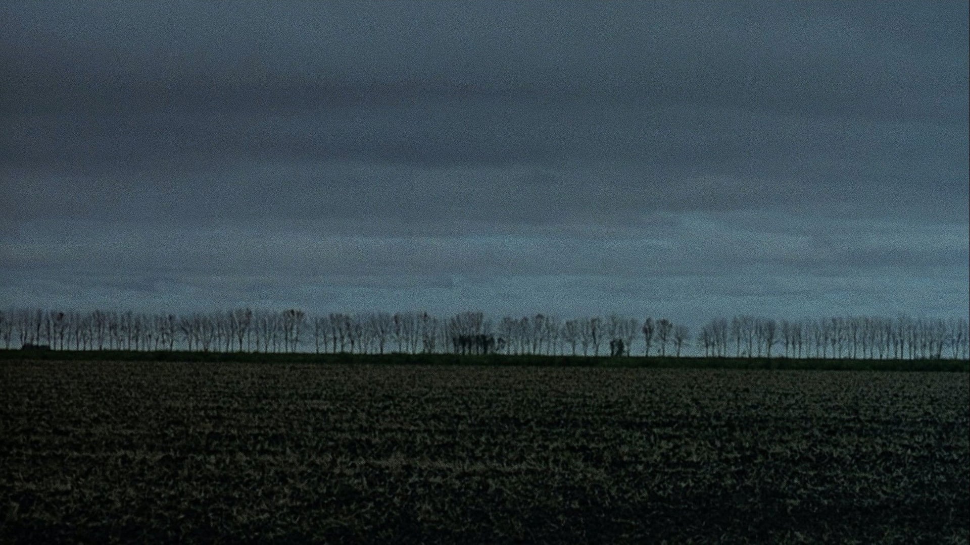 Foto do filme Capote