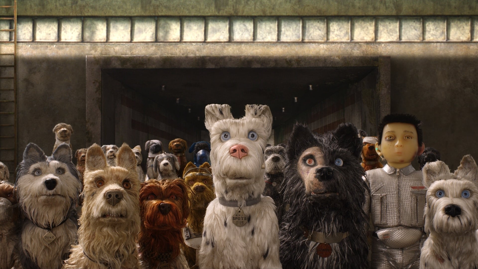 Foto do filme Ilha dos Cachorros