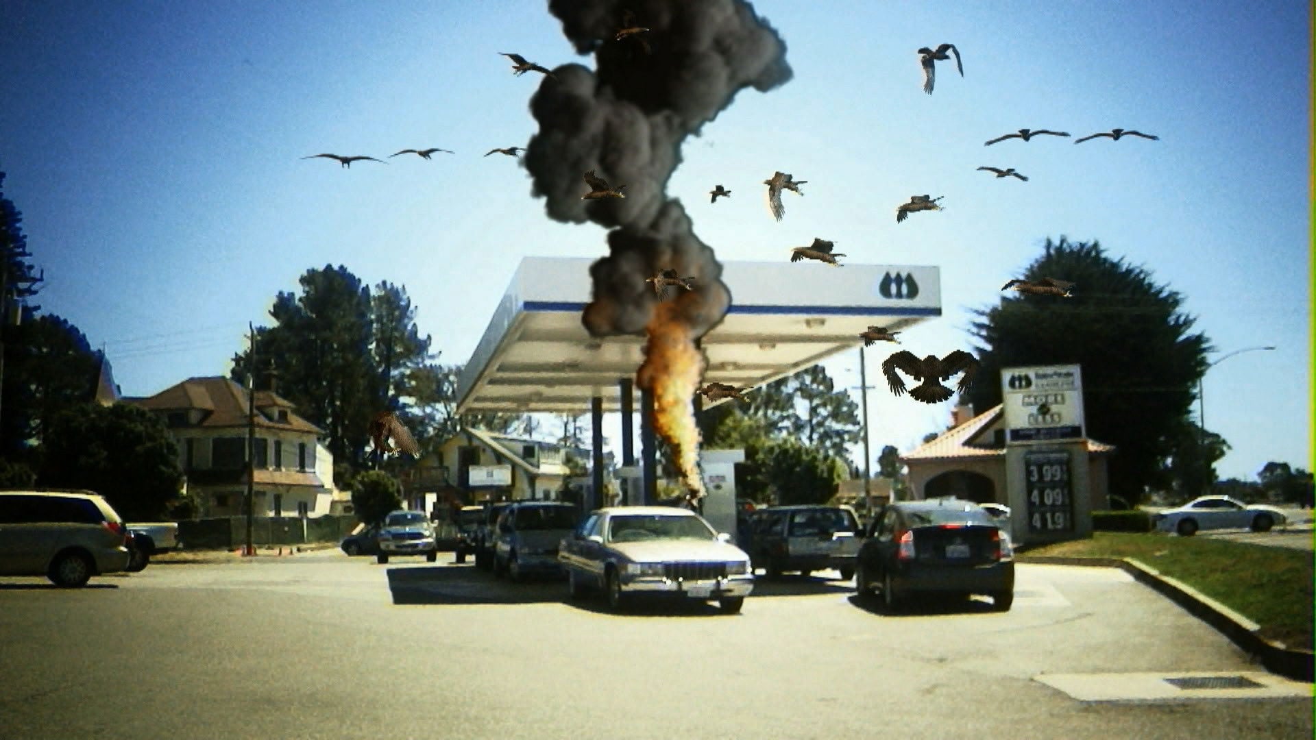 Foto do filme Birdemic: Choque e Terror