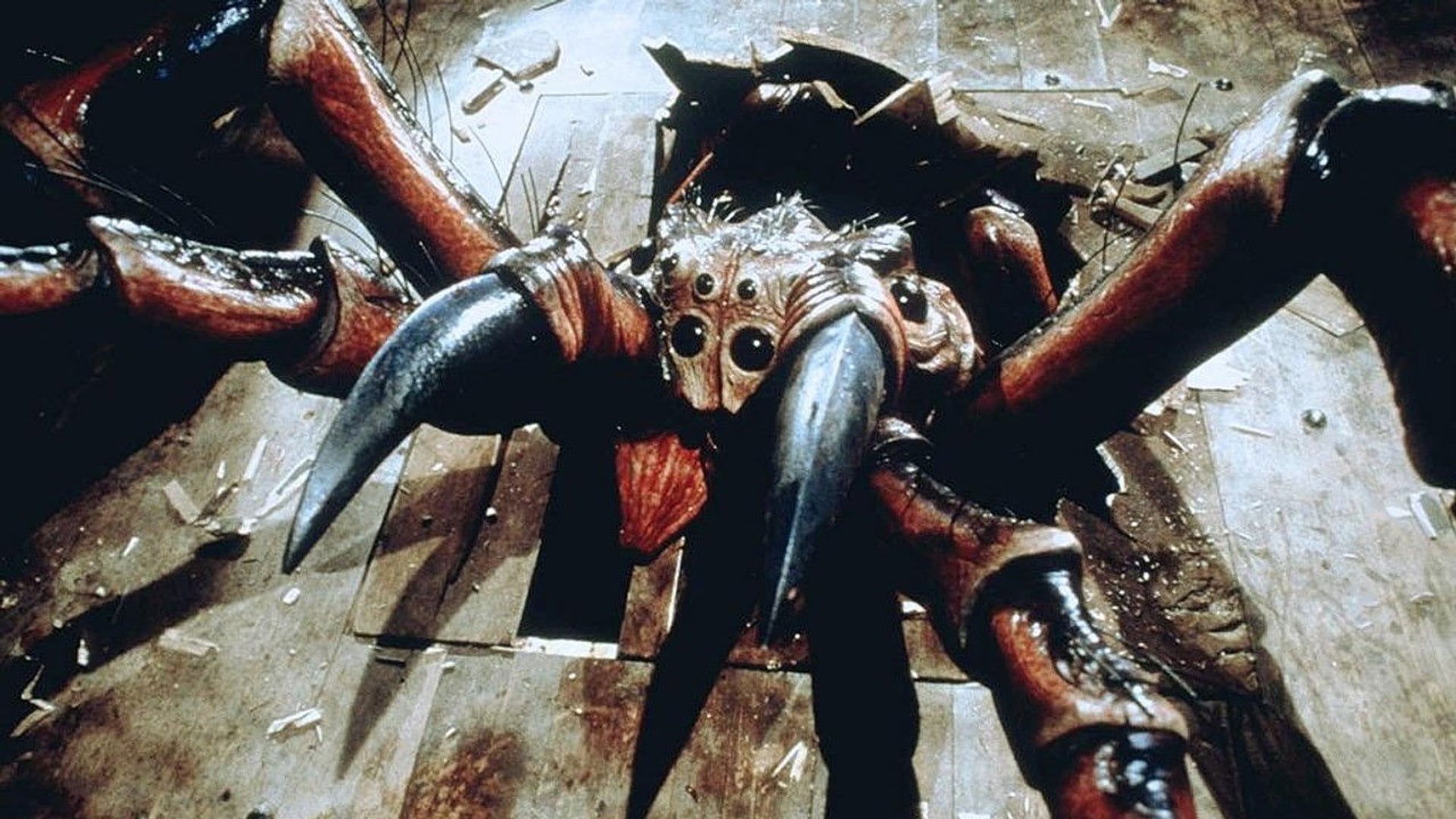 Foto do filme Aranhas Assassinas
