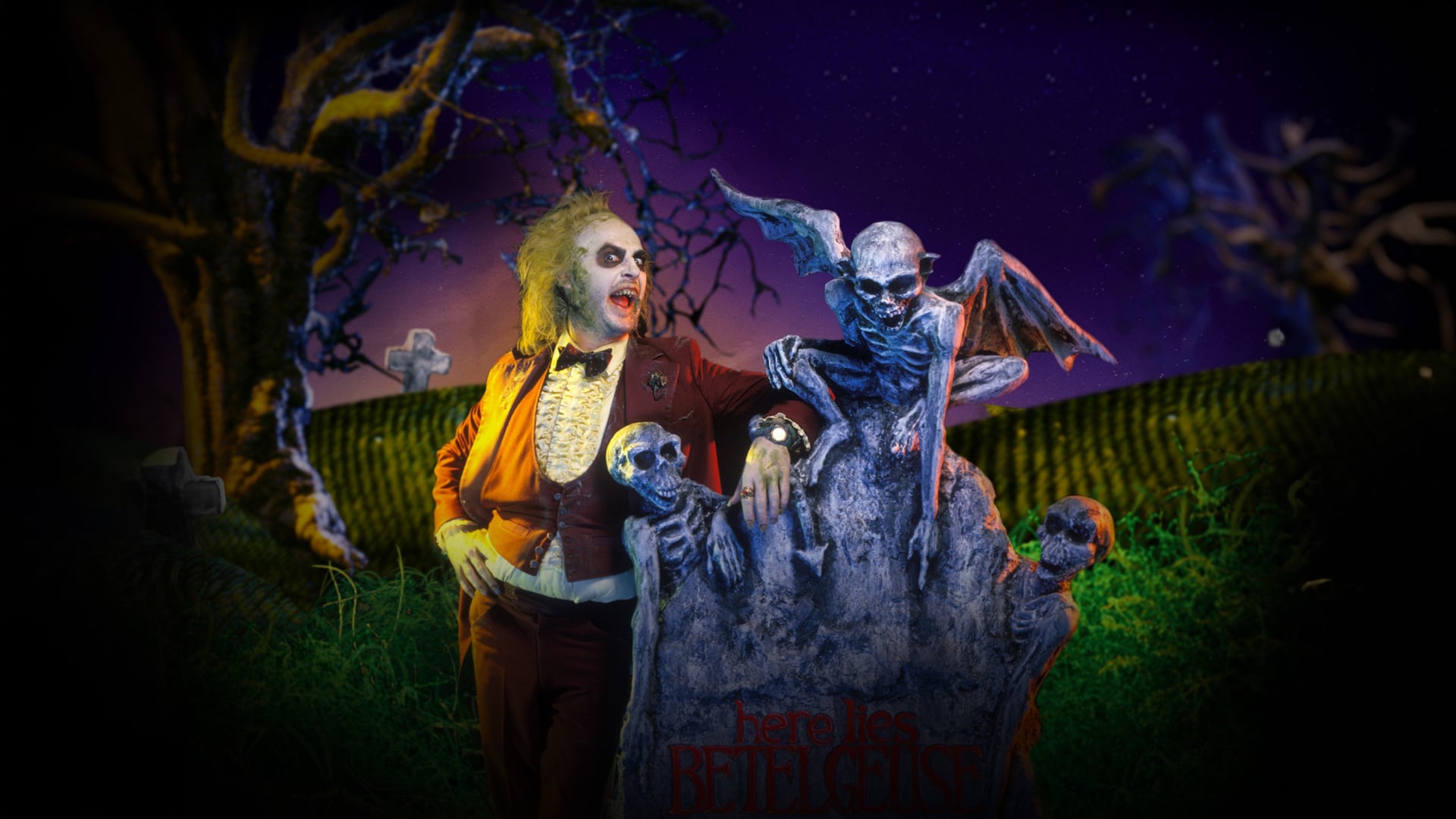 Foto do filme Os Fantasmas se Divertem