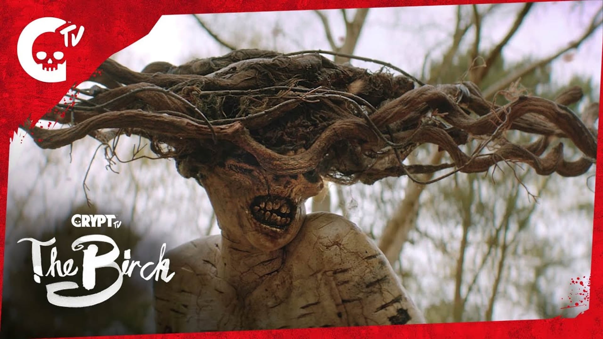 Foto do filme The Birch