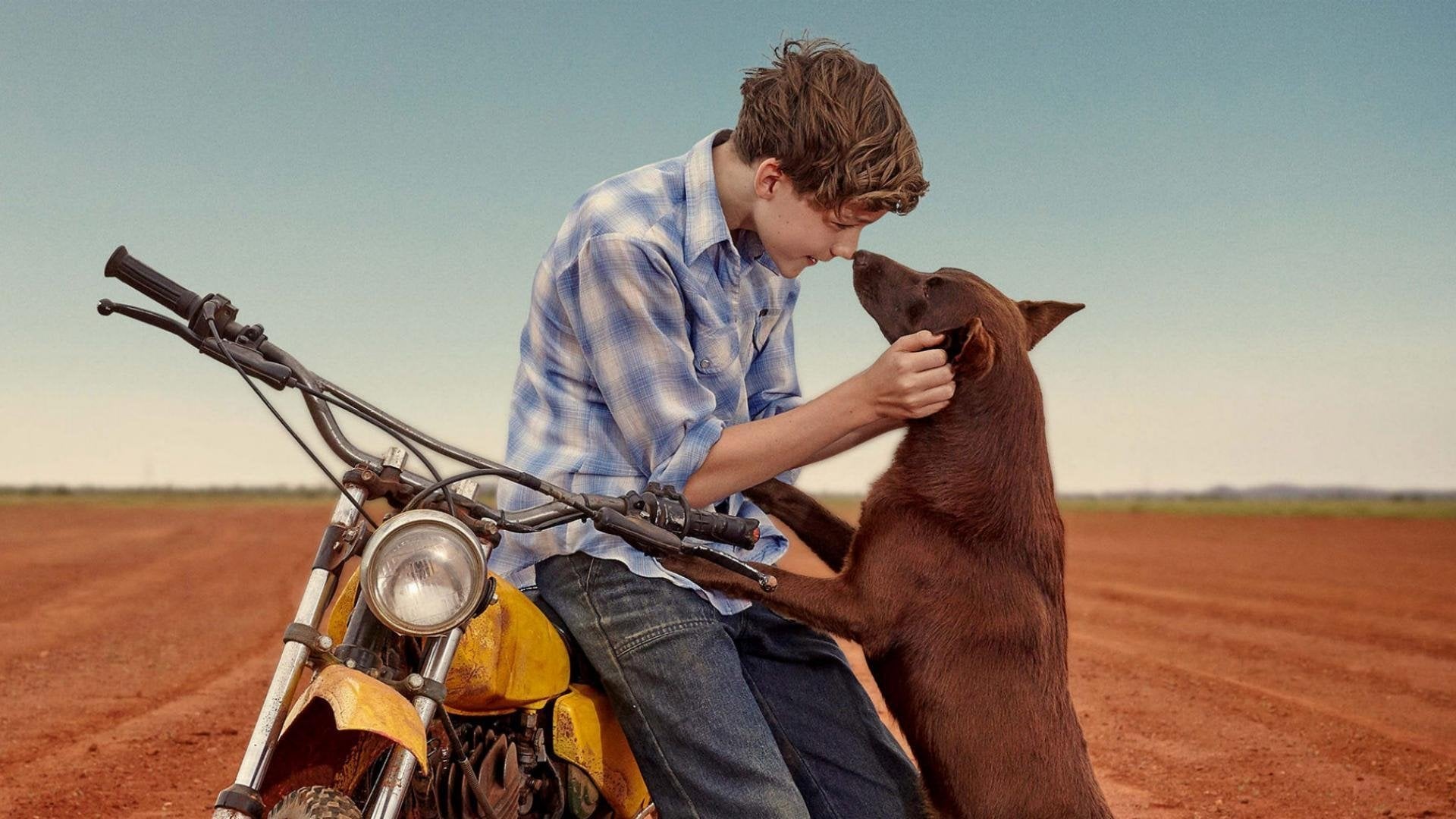 Foto do filme Cão Vermelho: True Blue