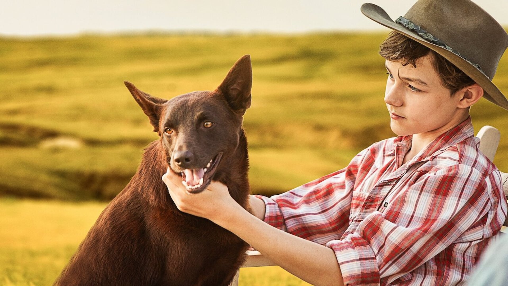 Foto do filme Cão Vermelho: True Blue