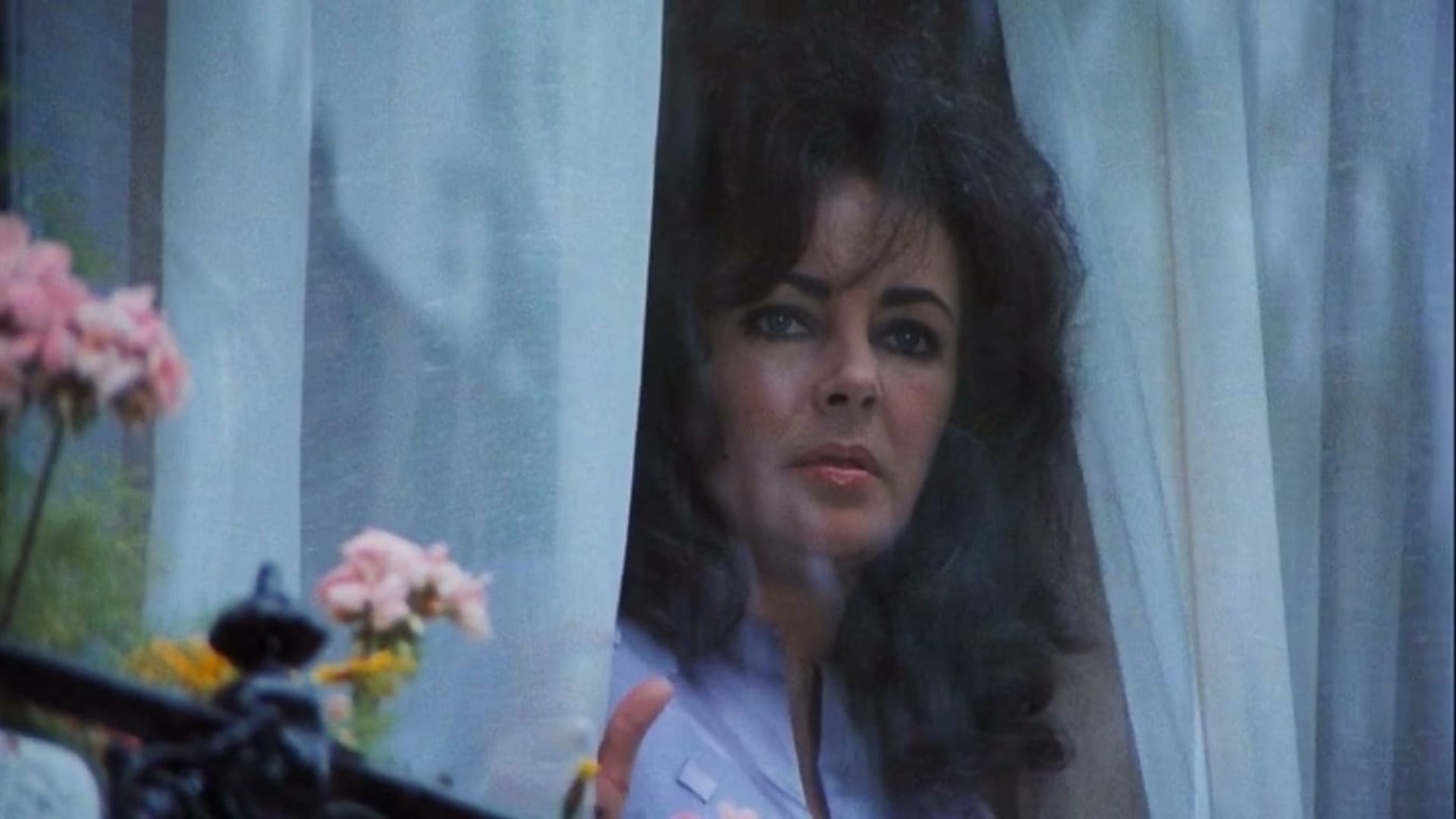 Foto do filme Vigília nas Sombras