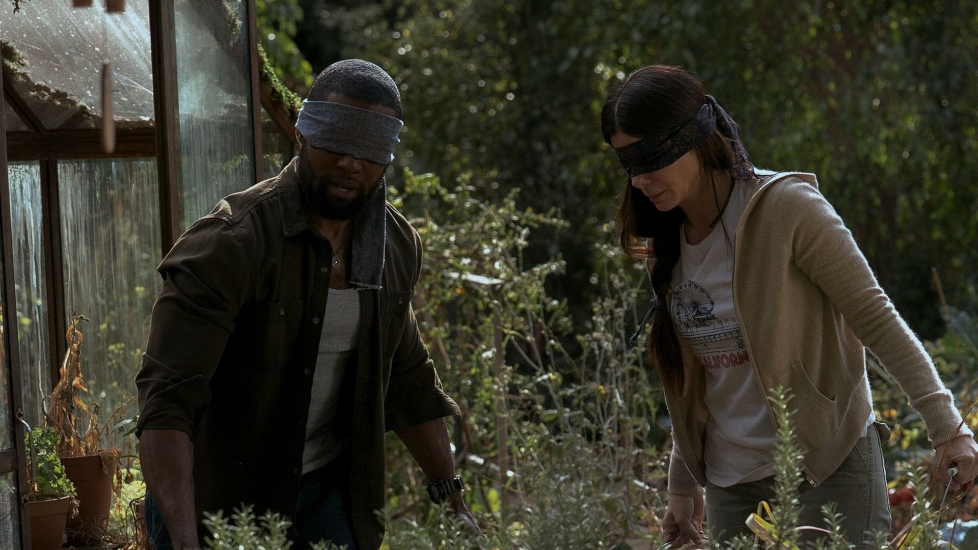 Foto do filme Bird Box