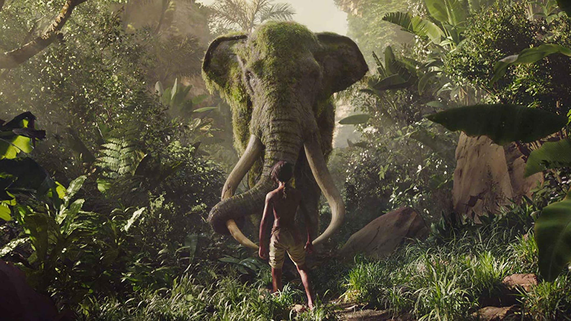Foto do filme Mogli: Entre Dois Mundos