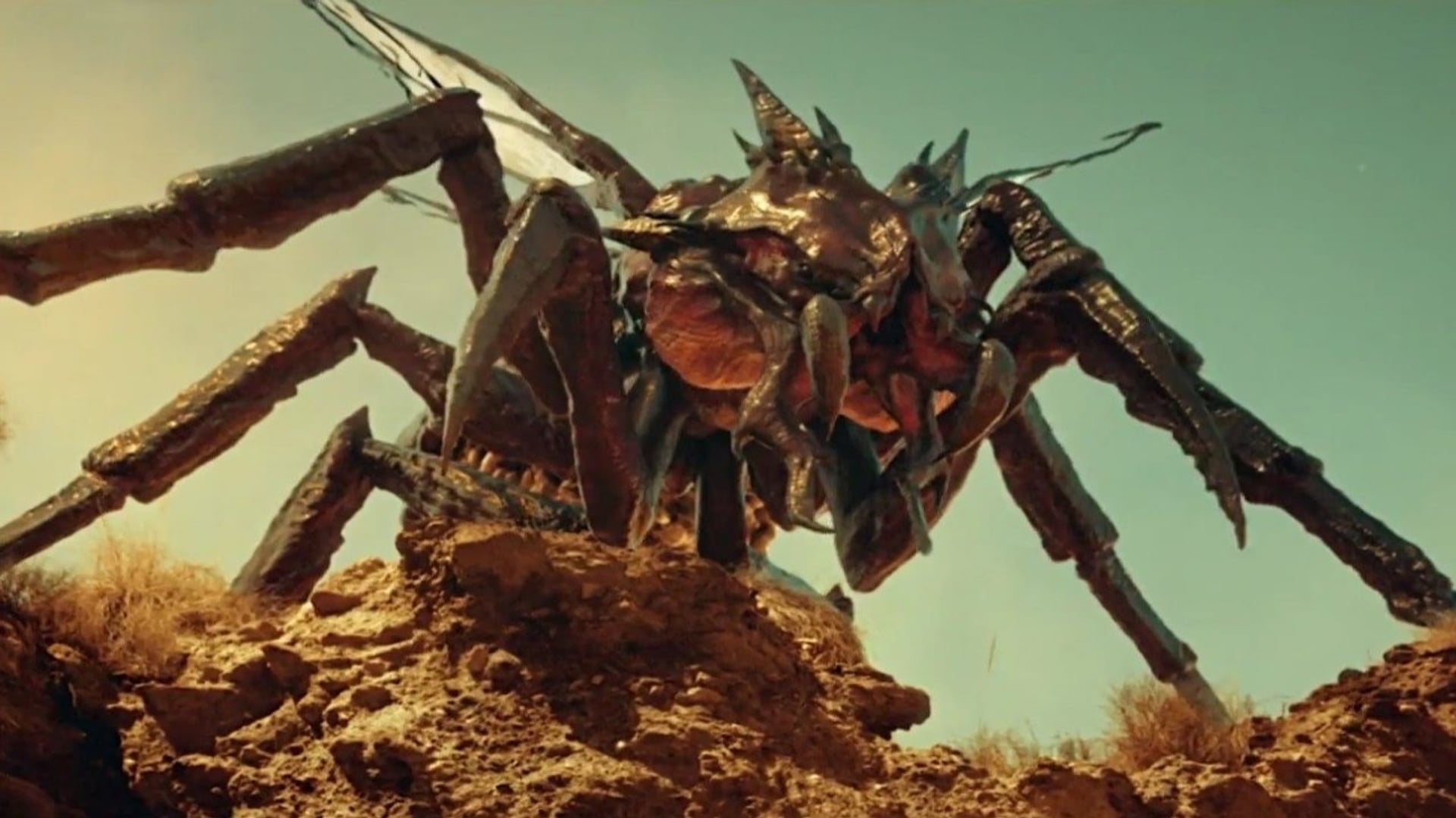 Foto do filme A Maldição das Formigas Gigantes