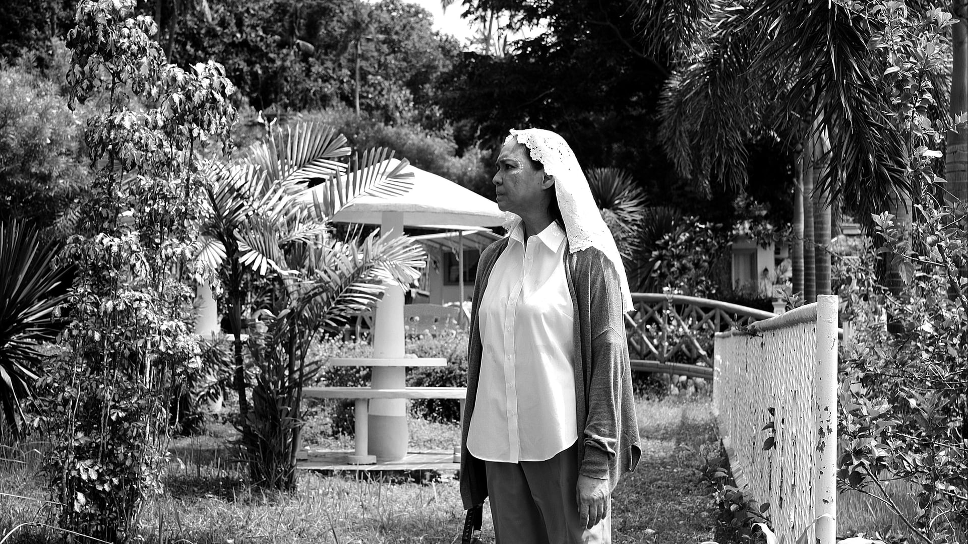 Foto do filme A Mulher Que Se Foi
