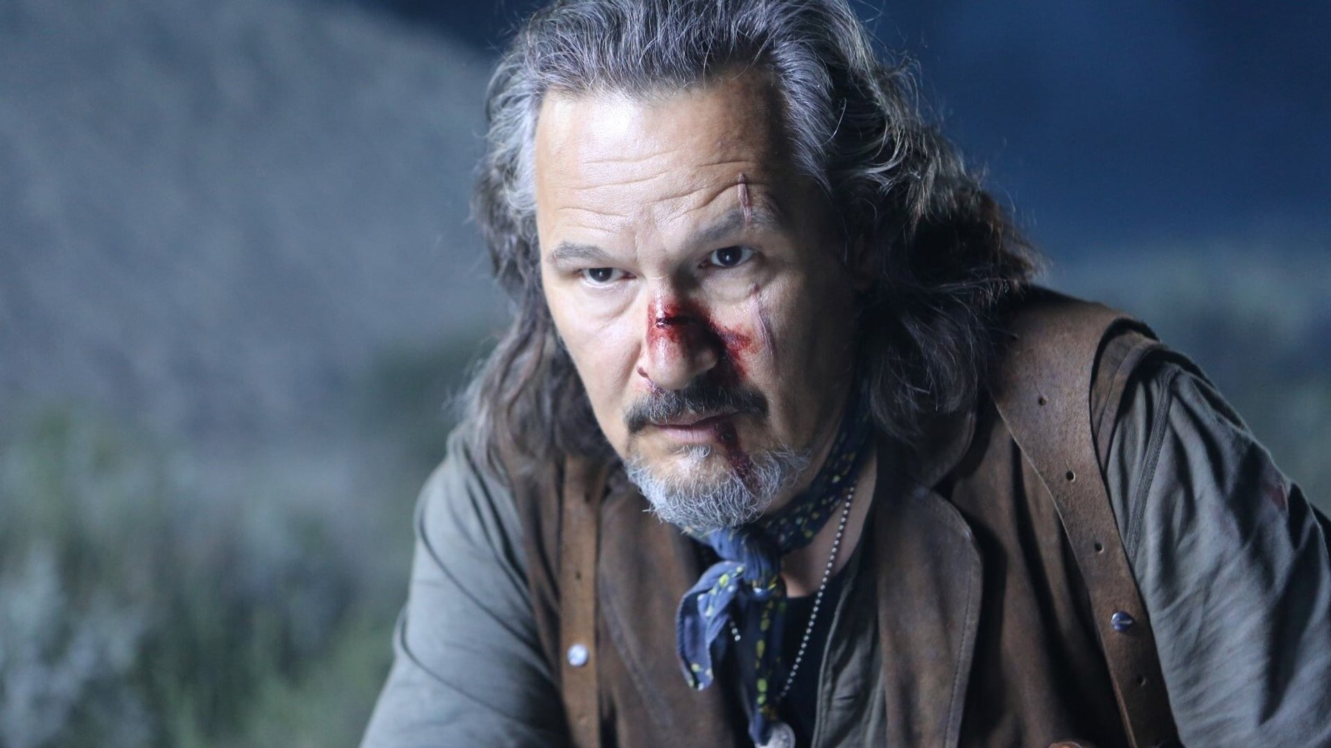 Foto do filme Stake Land - Anoitecer Violento 2