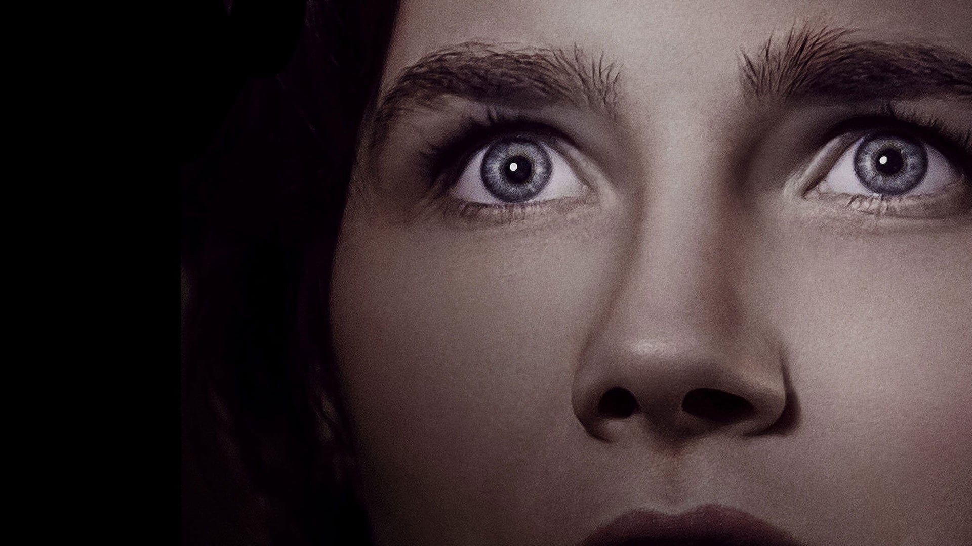 Foto do filme Amanda Knox