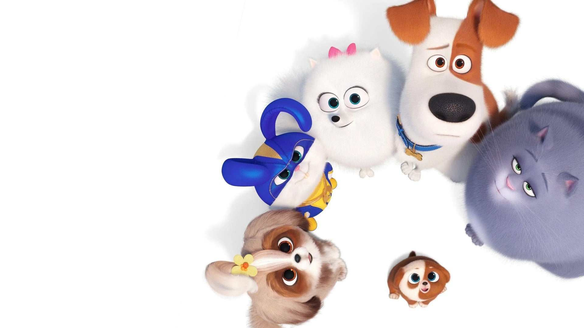 Foto do filme Pets: A Vida Secreta dos Bichos 2