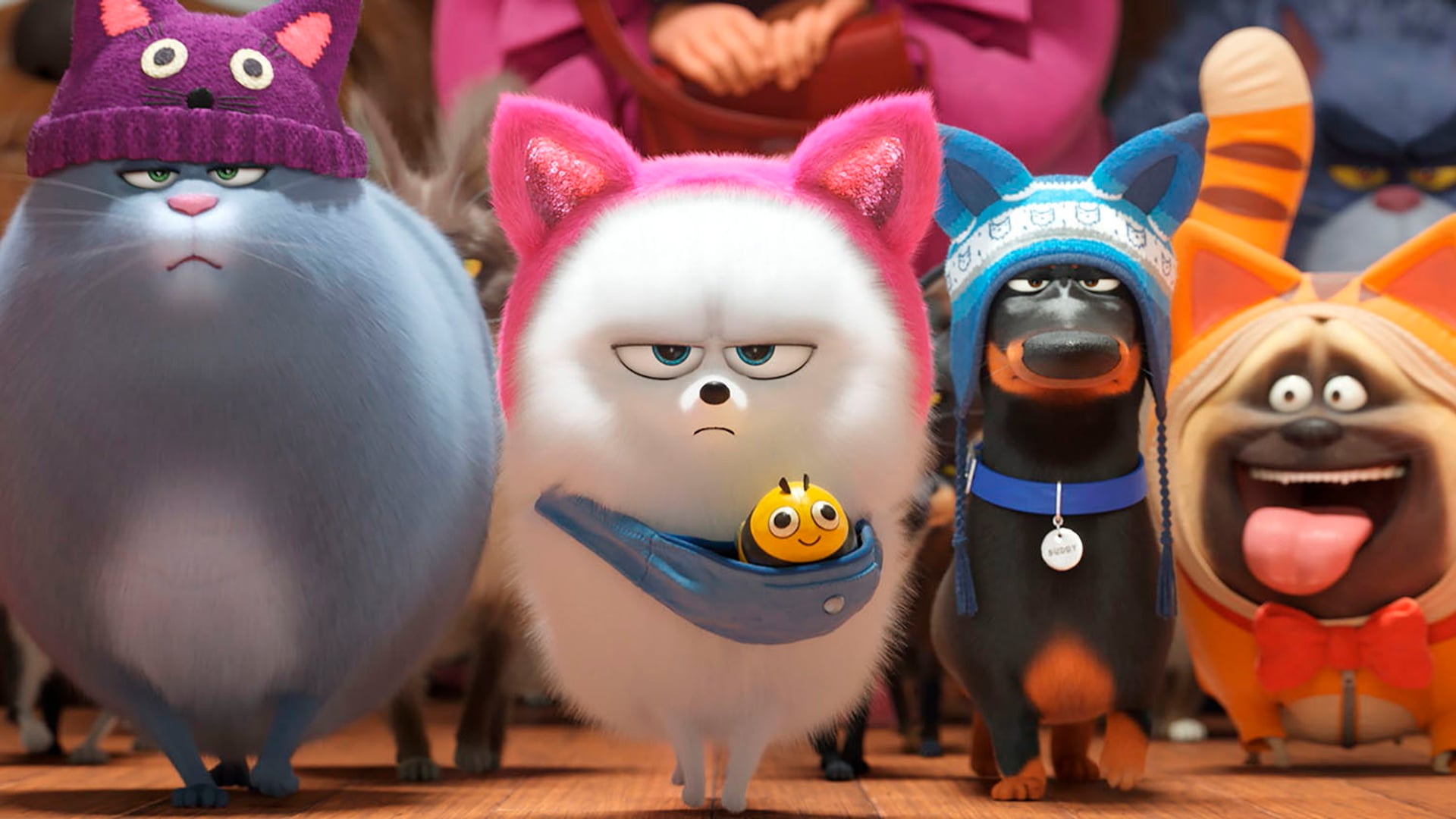 Foto do filme Pets: A Vida Secreta dos Bichos 2