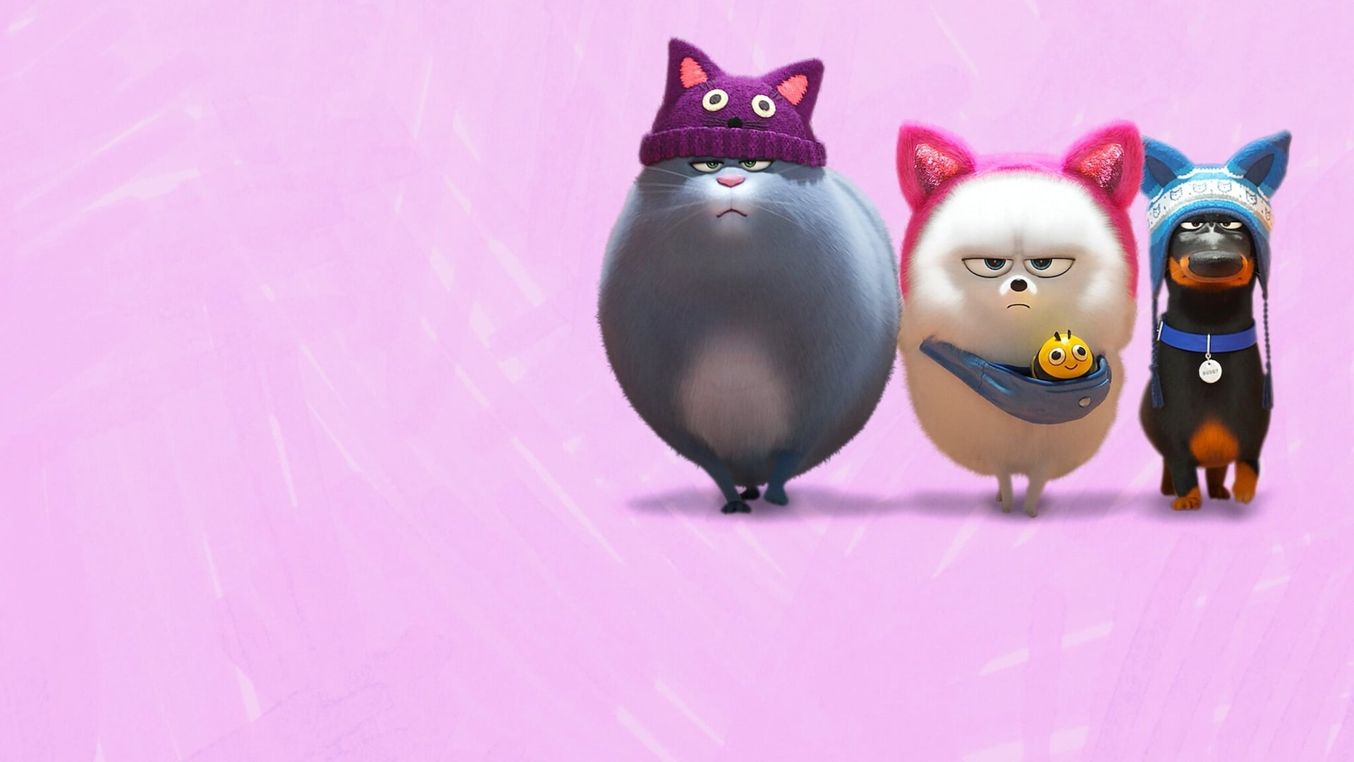 Foto do filme Pets: A Vida Secreta dos Bichos 2