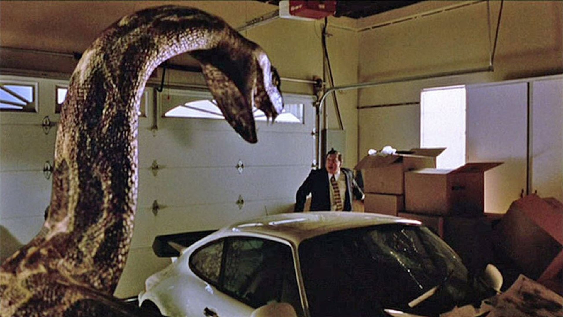 Foto do filme Python