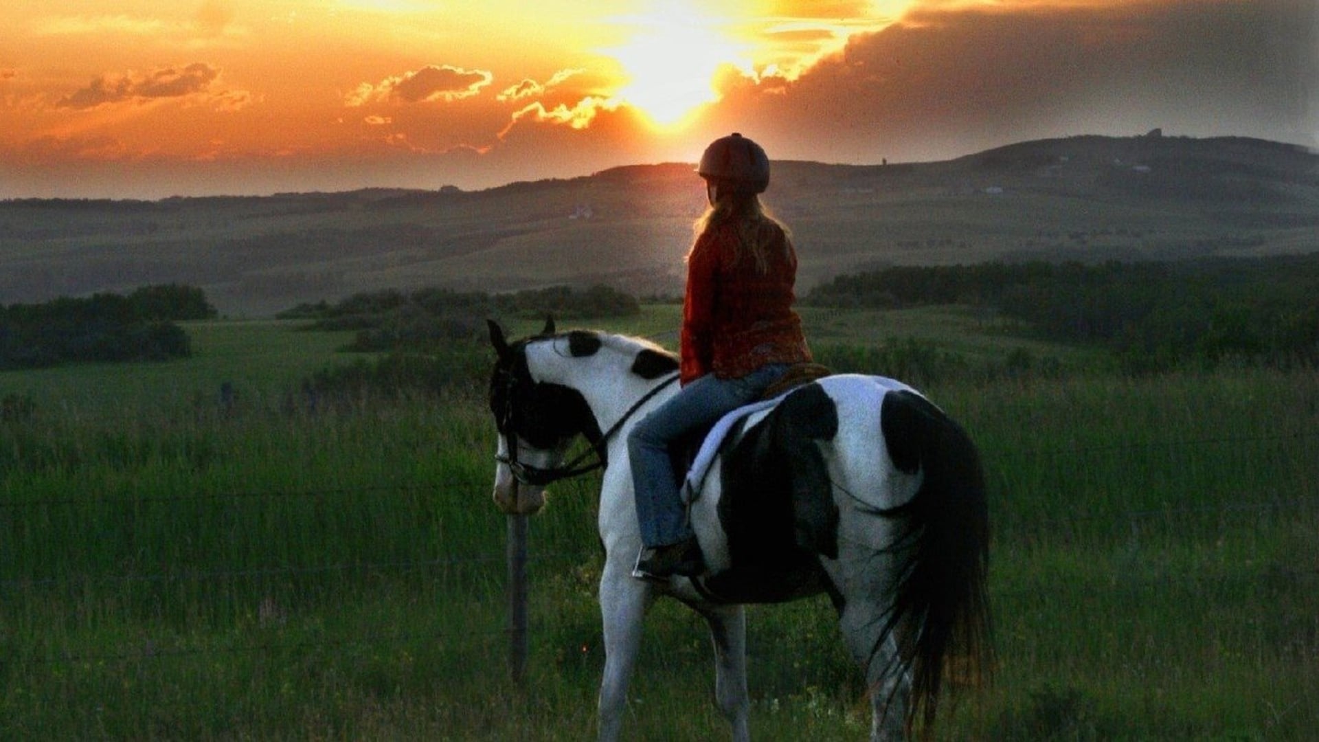 Foto do filme Moondance Alexander: Superando Limites