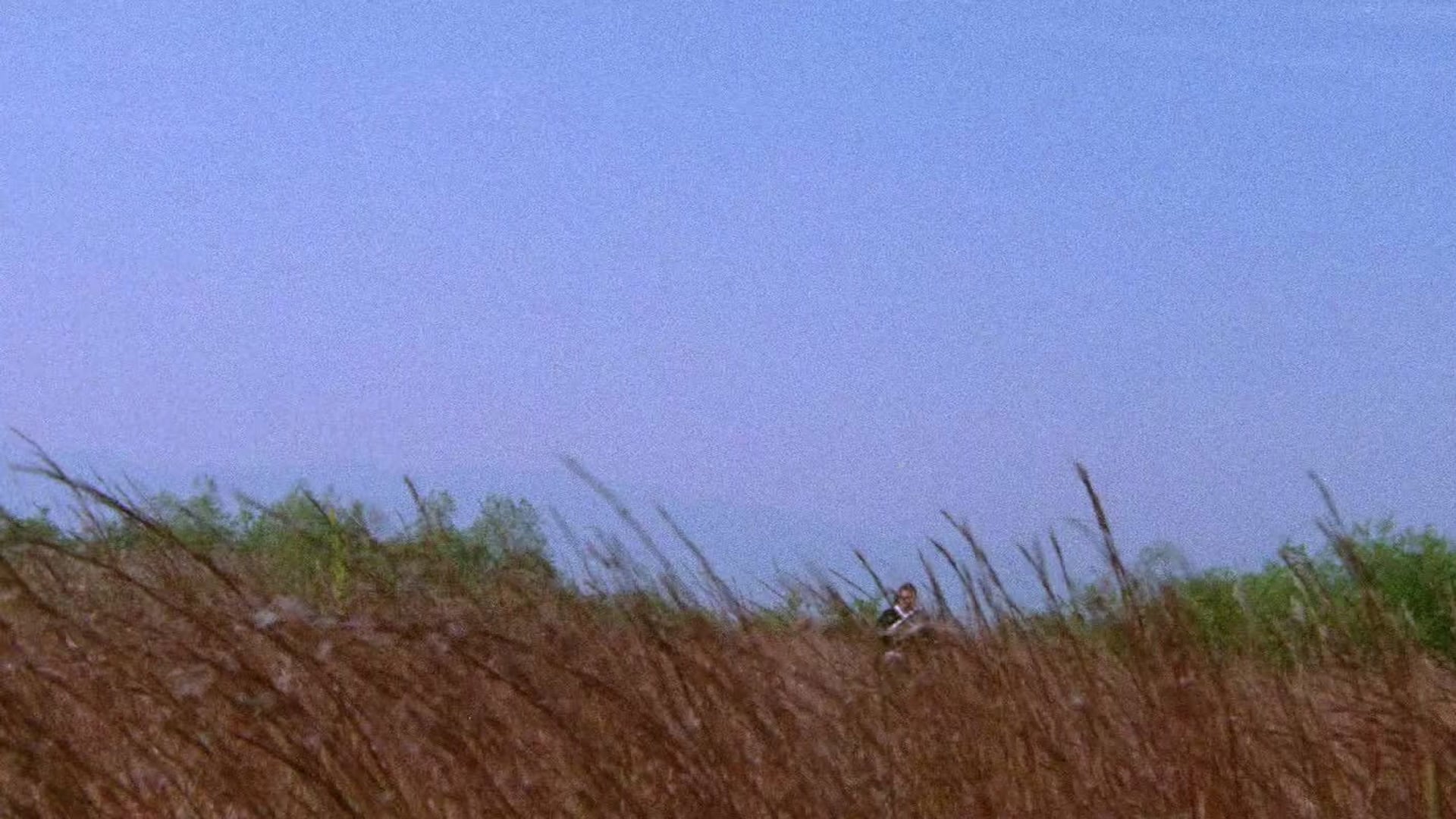 Foto do filme Lobo Solitário - A Espada da Vingança