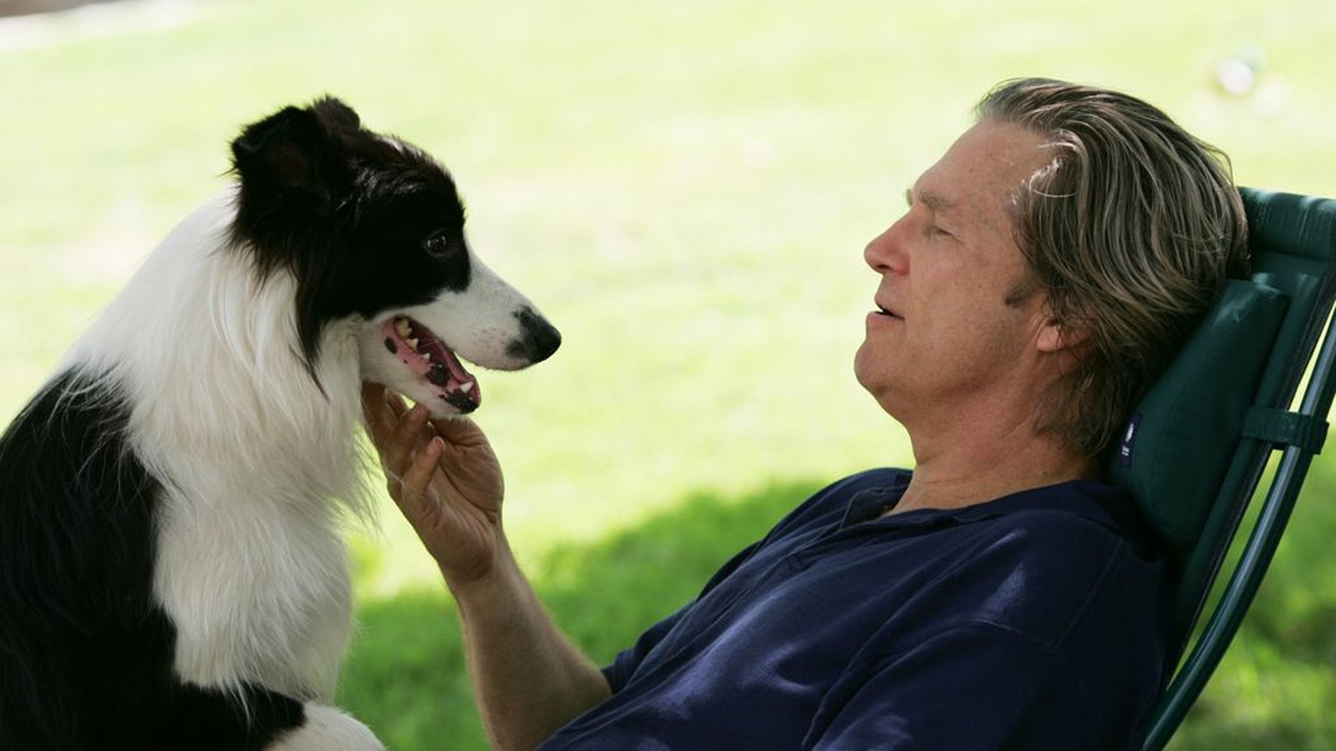 Foto do filme Um Ano do Cão