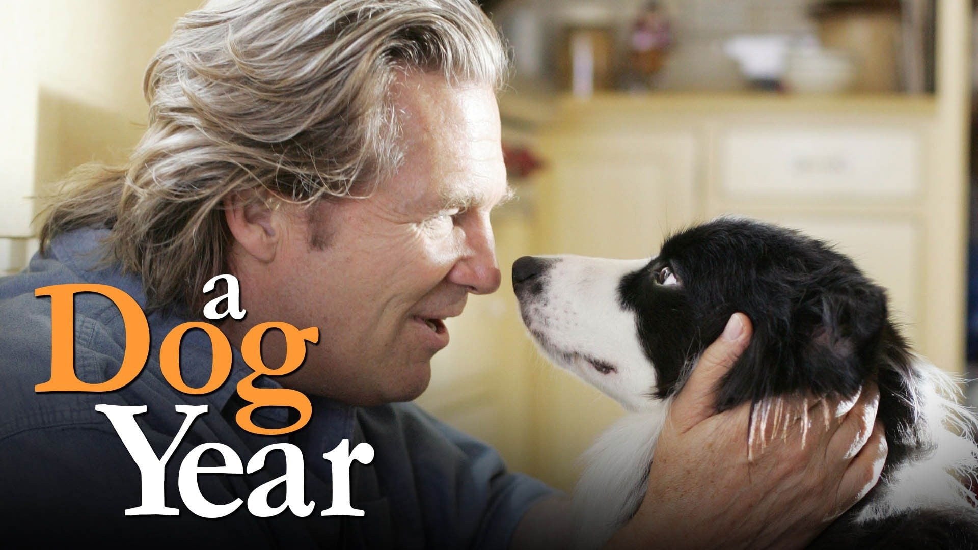 Foto do filme Um Ano do Cão